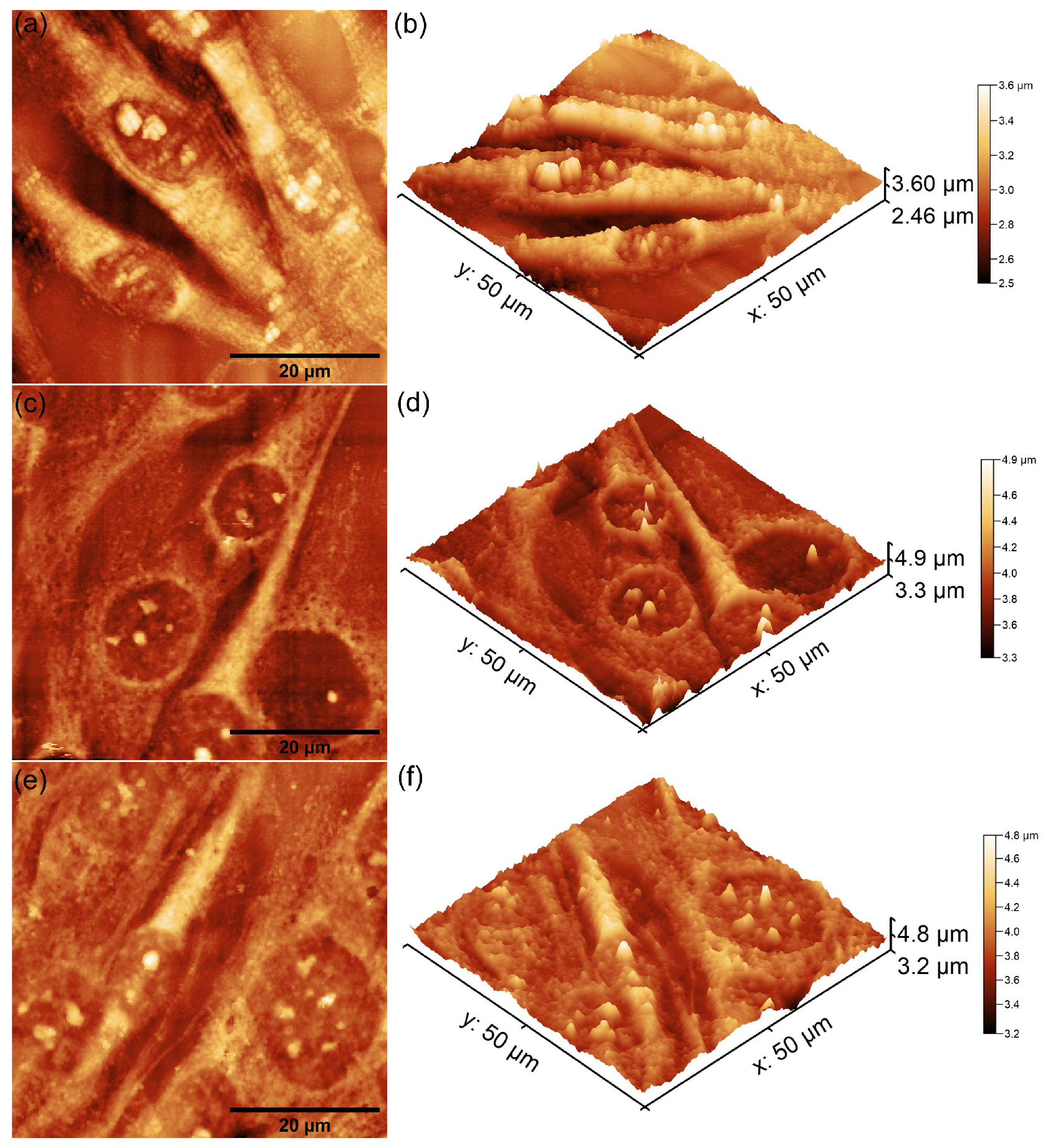 Coatings 15 00209 g013 Coatings 15 00209 g013