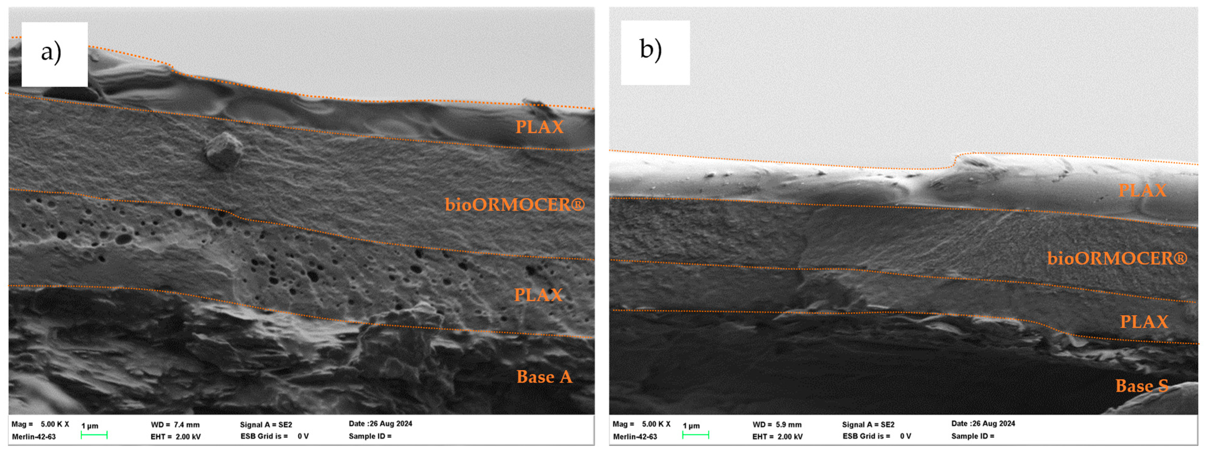Coatings 15 00214 g003