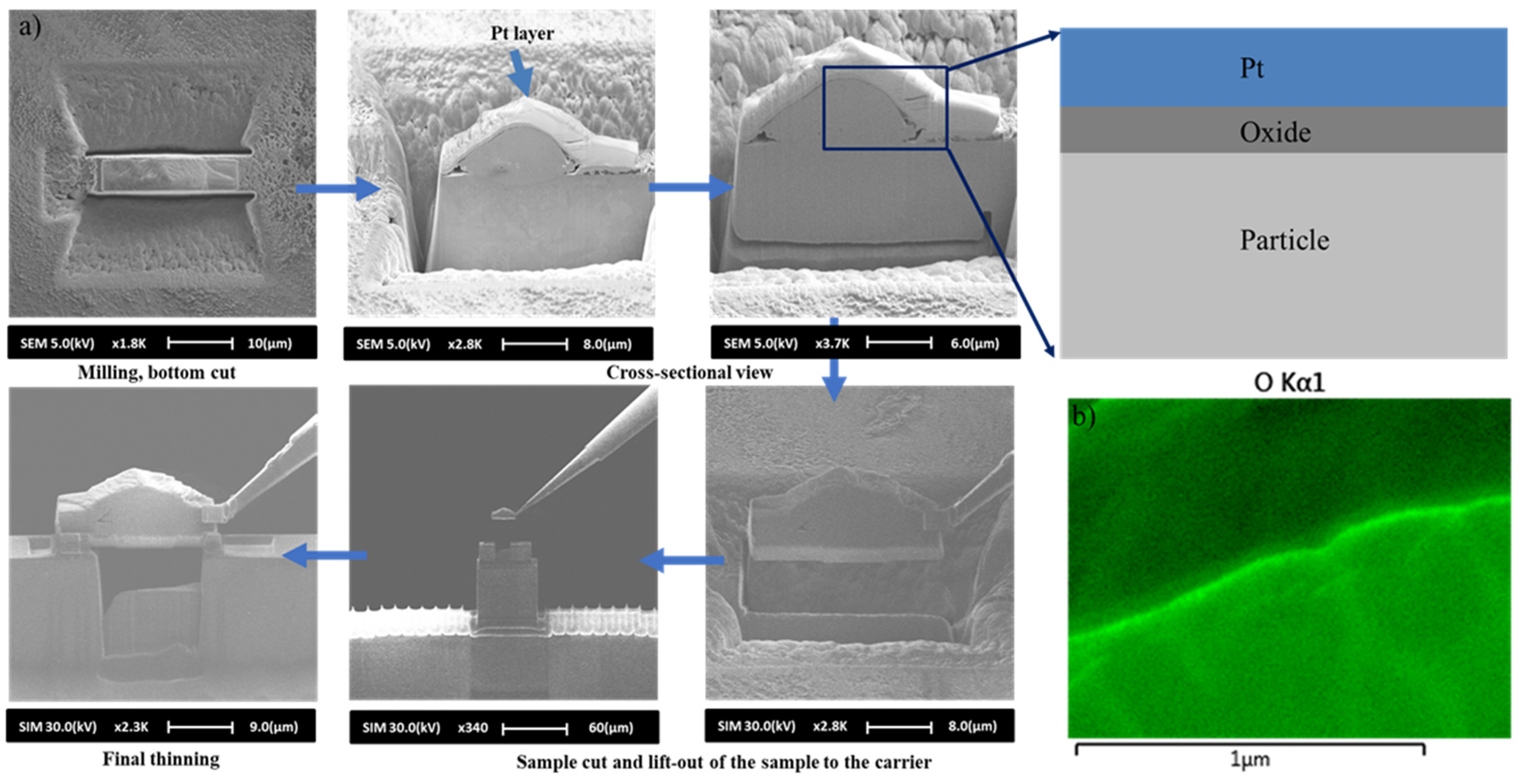 Coatings 15 00215 g015