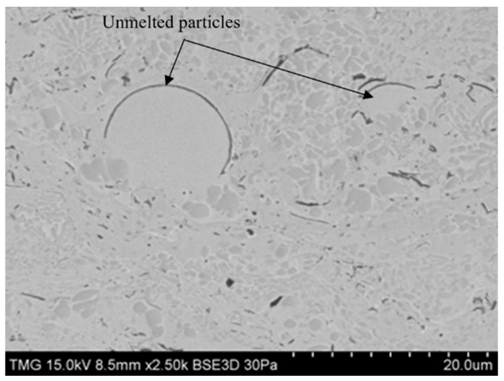 Coatings 15 00215 g017