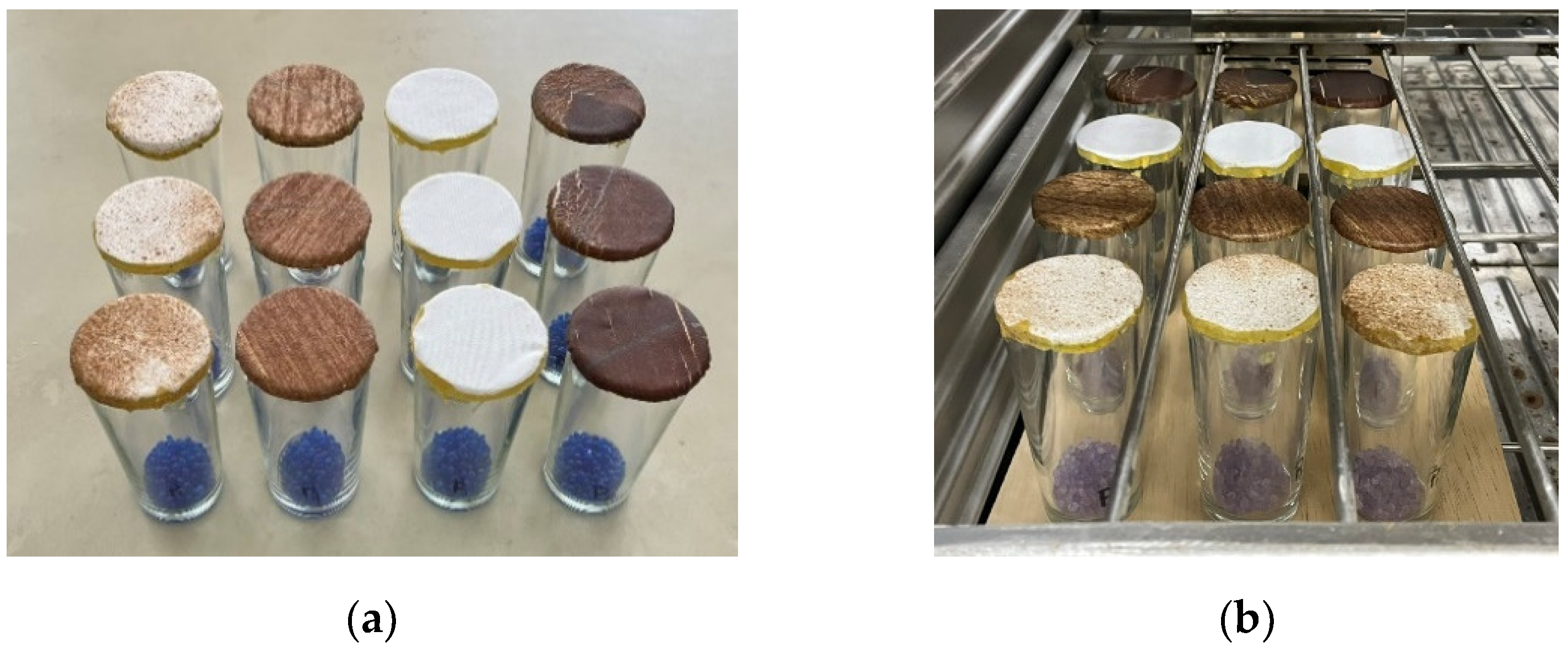 Coatings 15 00216 g008