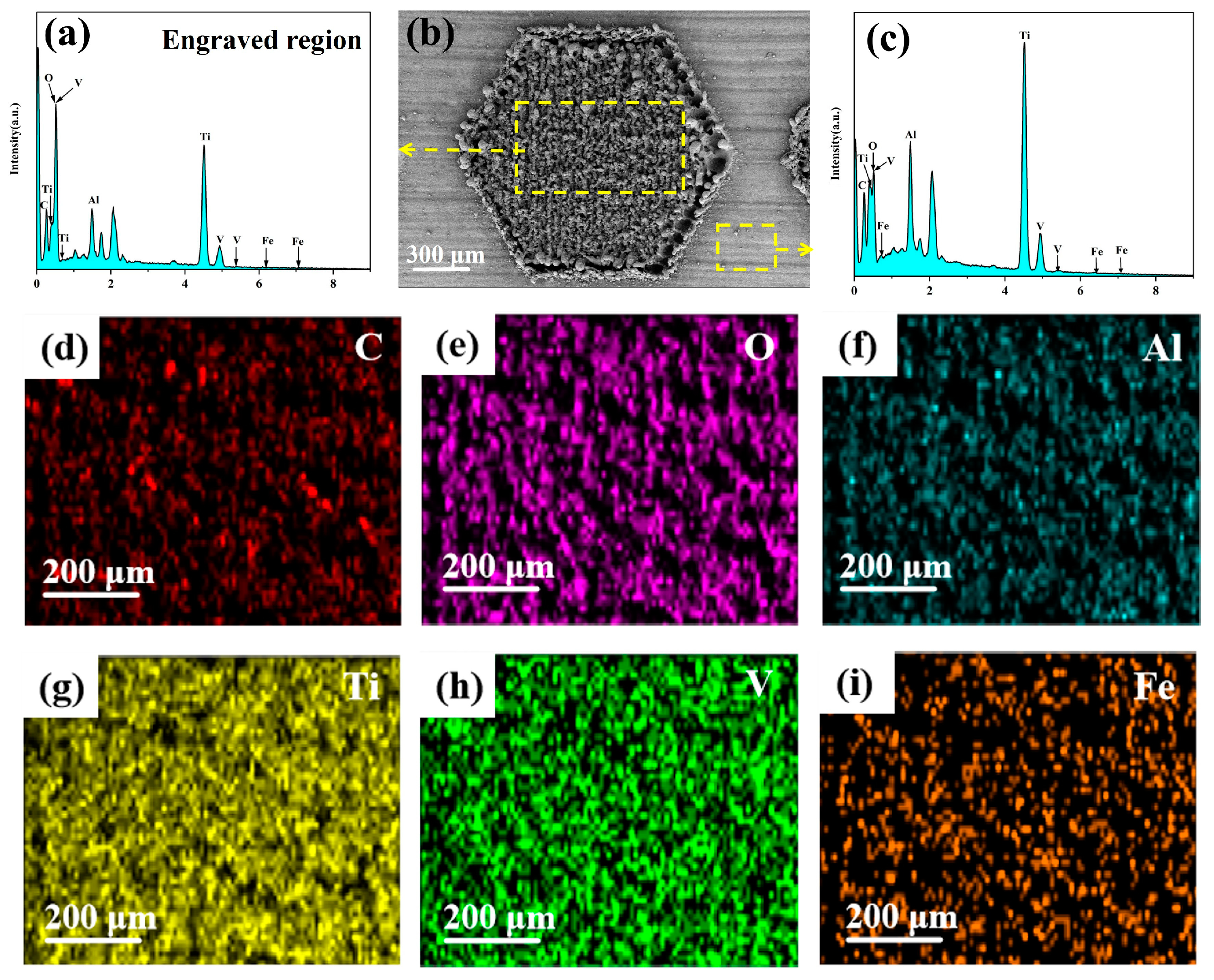 Coatings 15 00221 g003