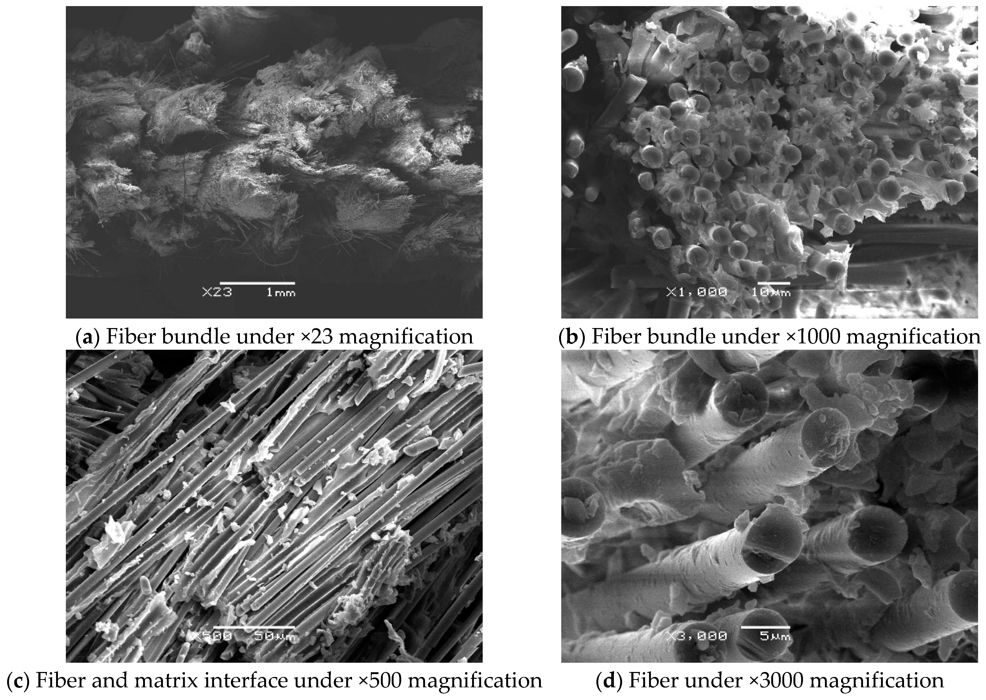 Coatings 15 00223 g012