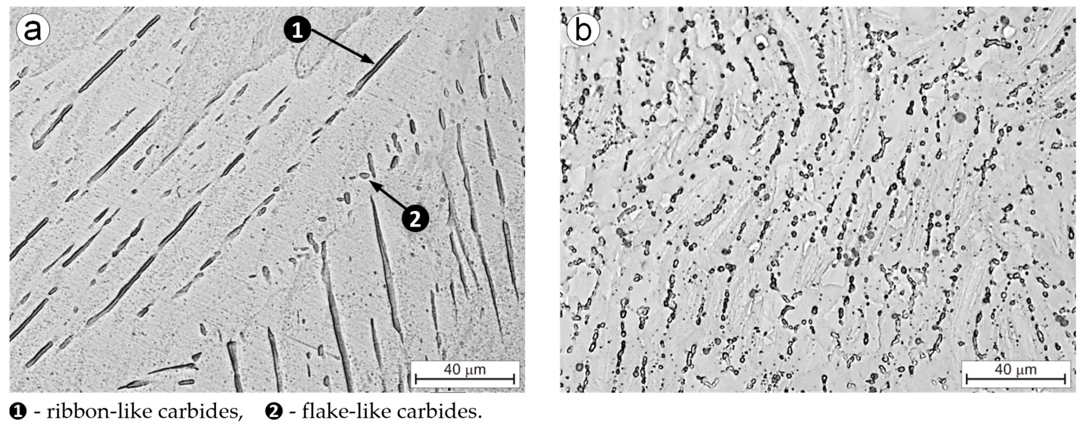 Coatings 15 00224 g004