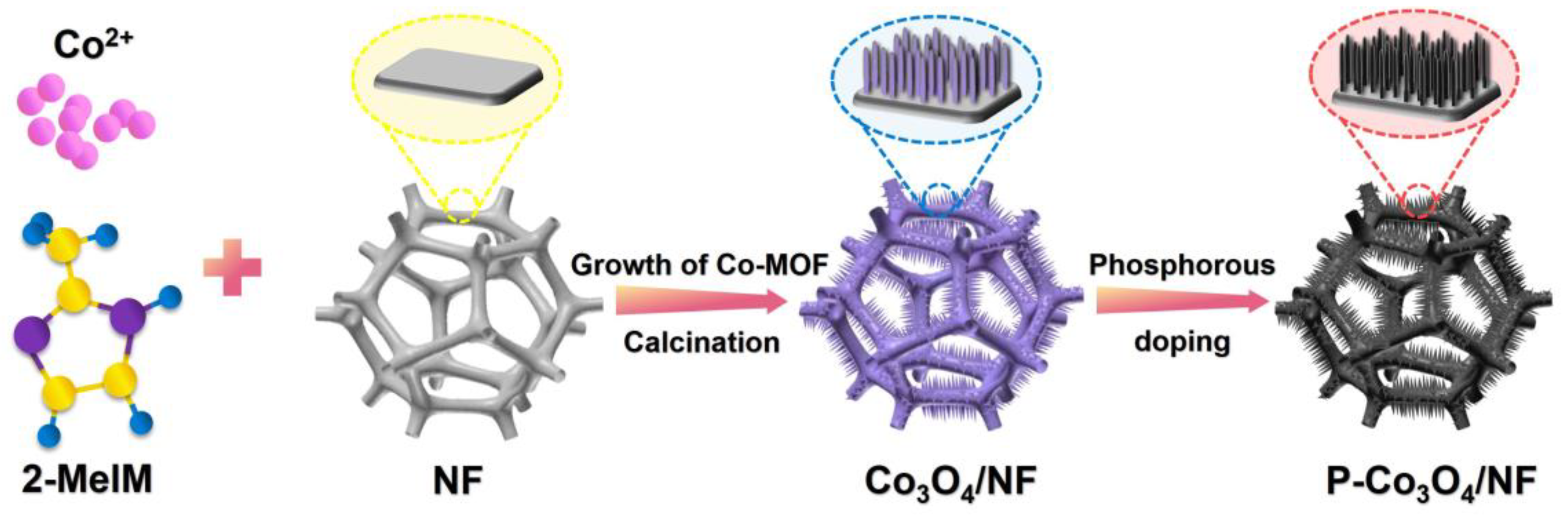 Coatings 15 00226 g001
