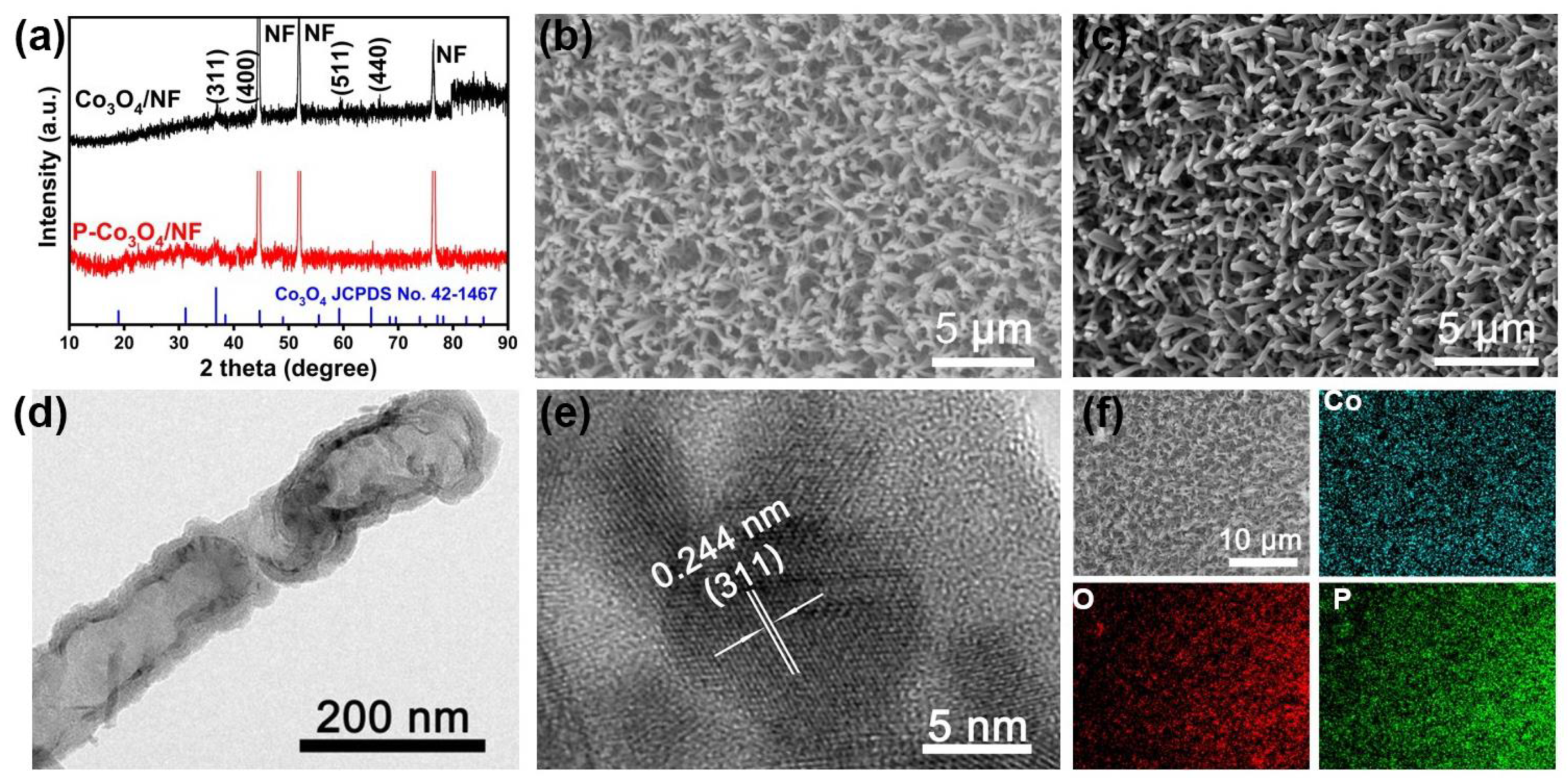 Coatings 15 00226 g002