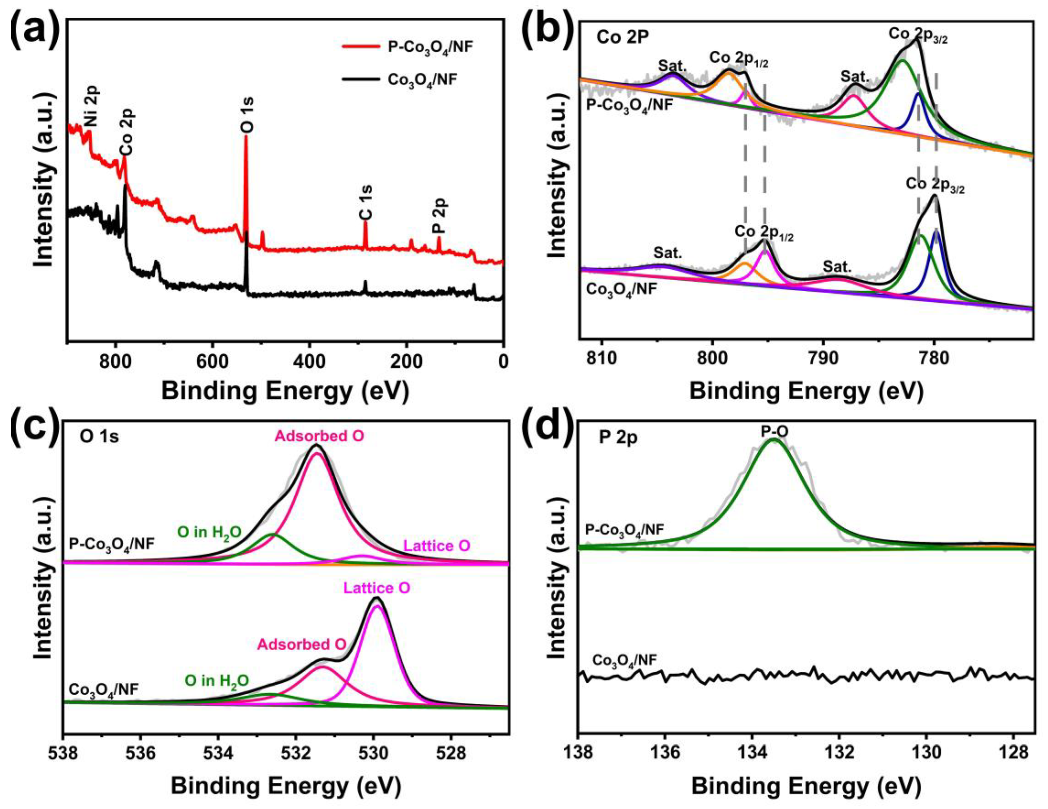 Coatings 15 00226 g003