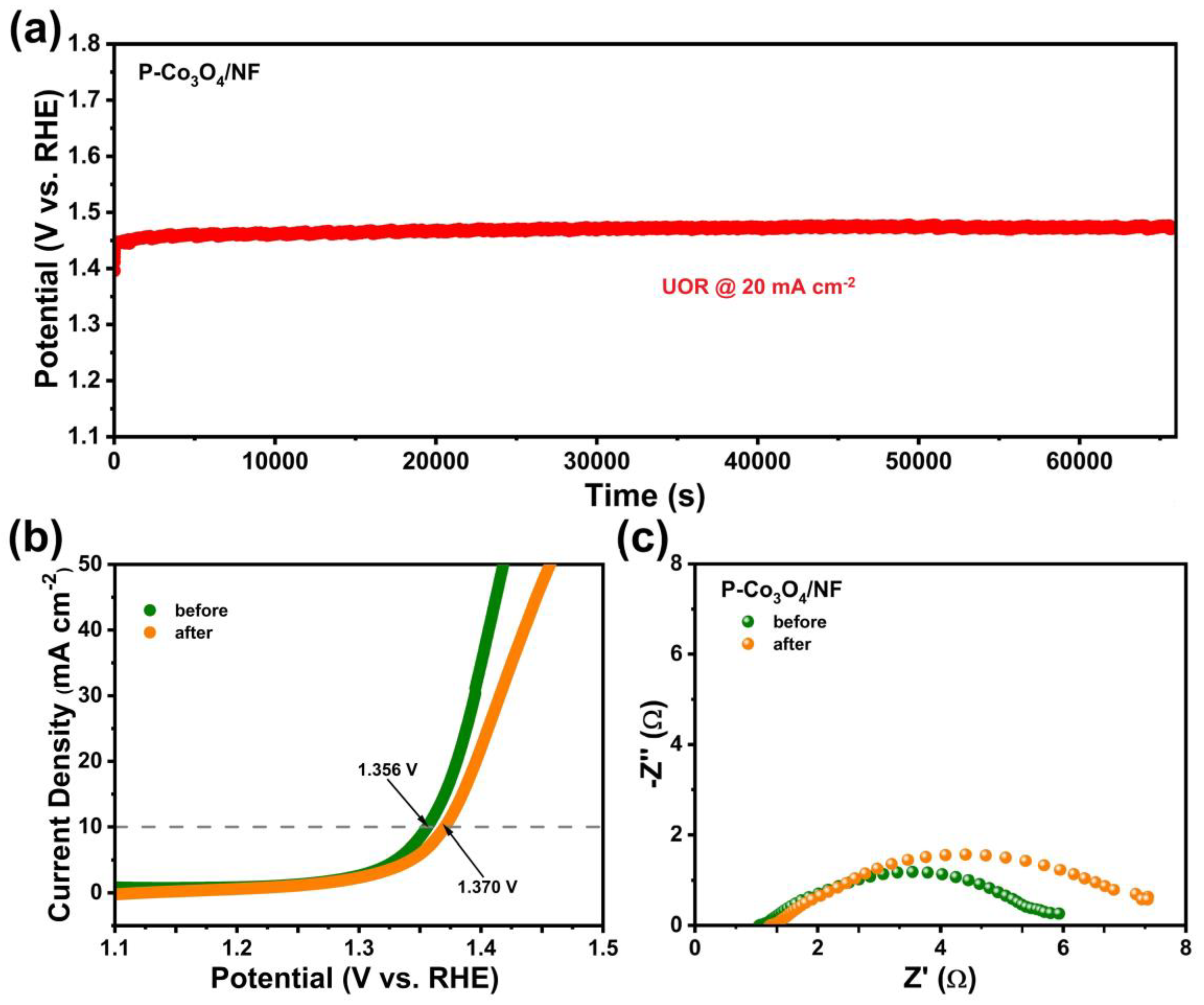 Coatings 15 00226 g005
