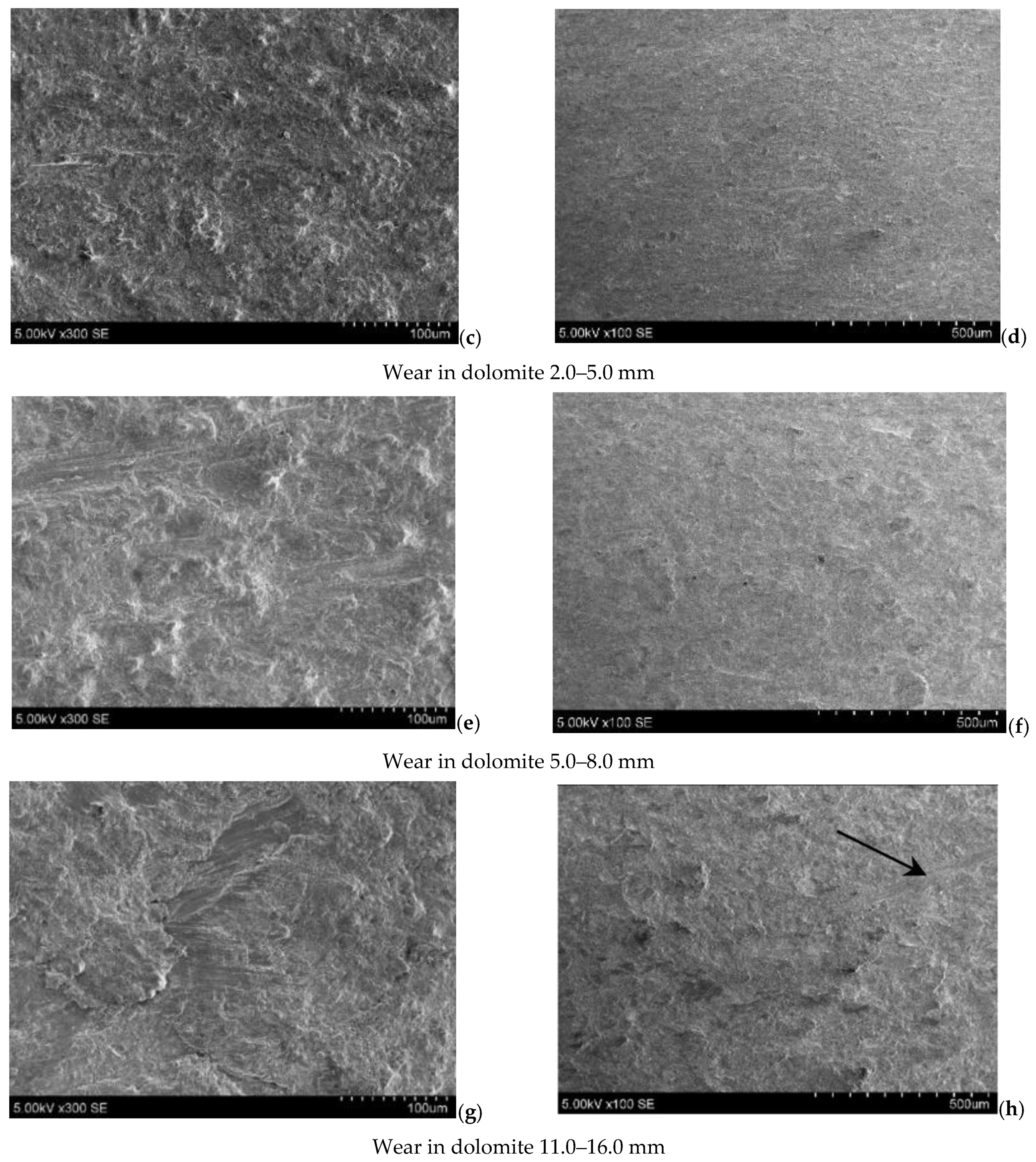 Coatings 15 00227 g007b