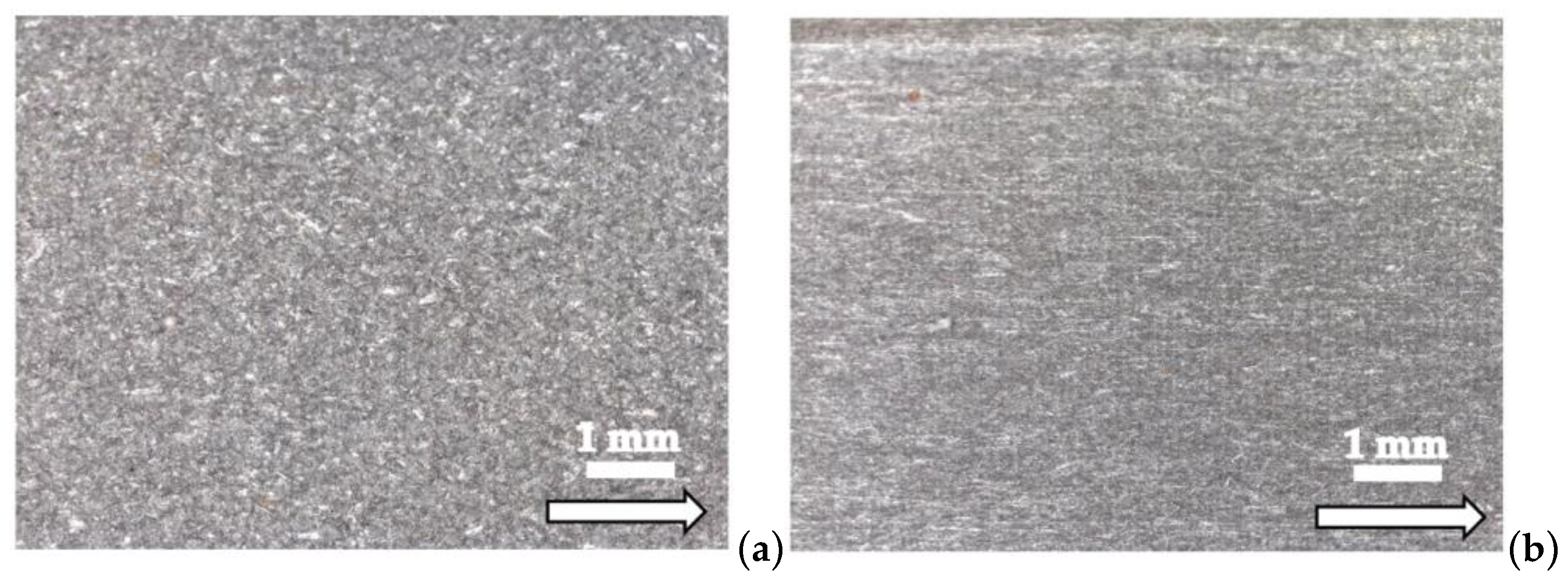 Coatings 15 00227 g008