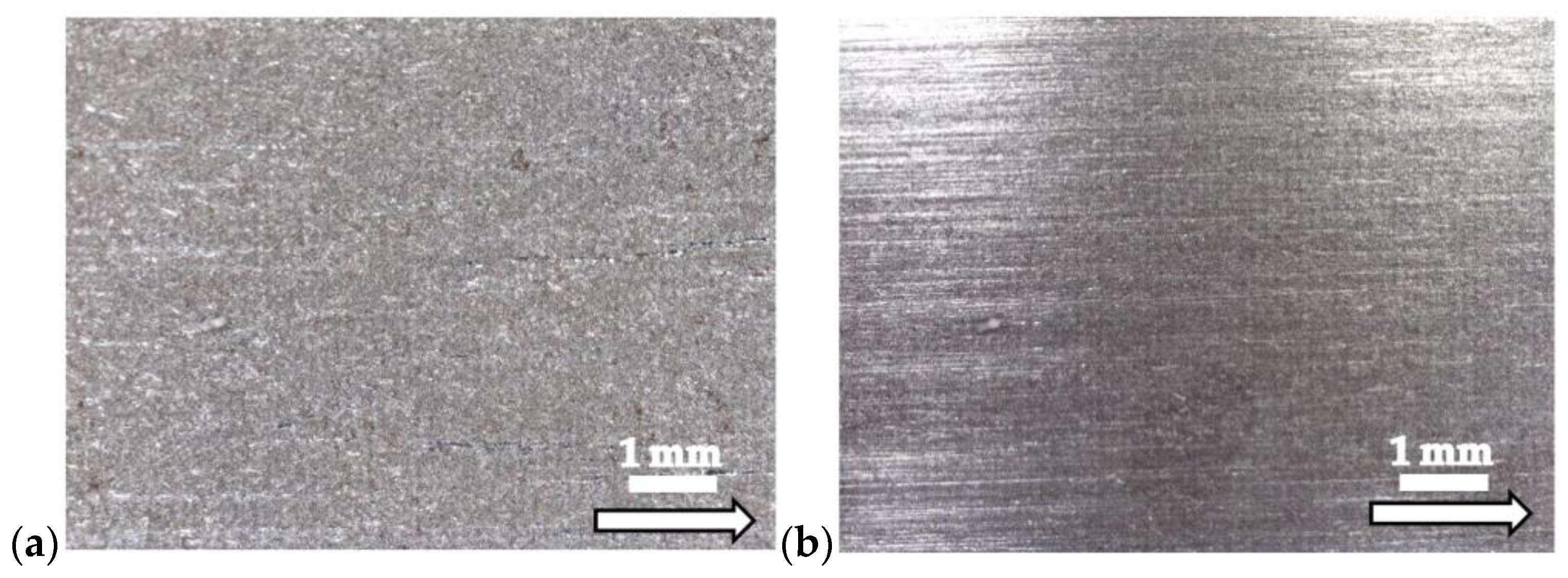 Coatings 15 00227 g009