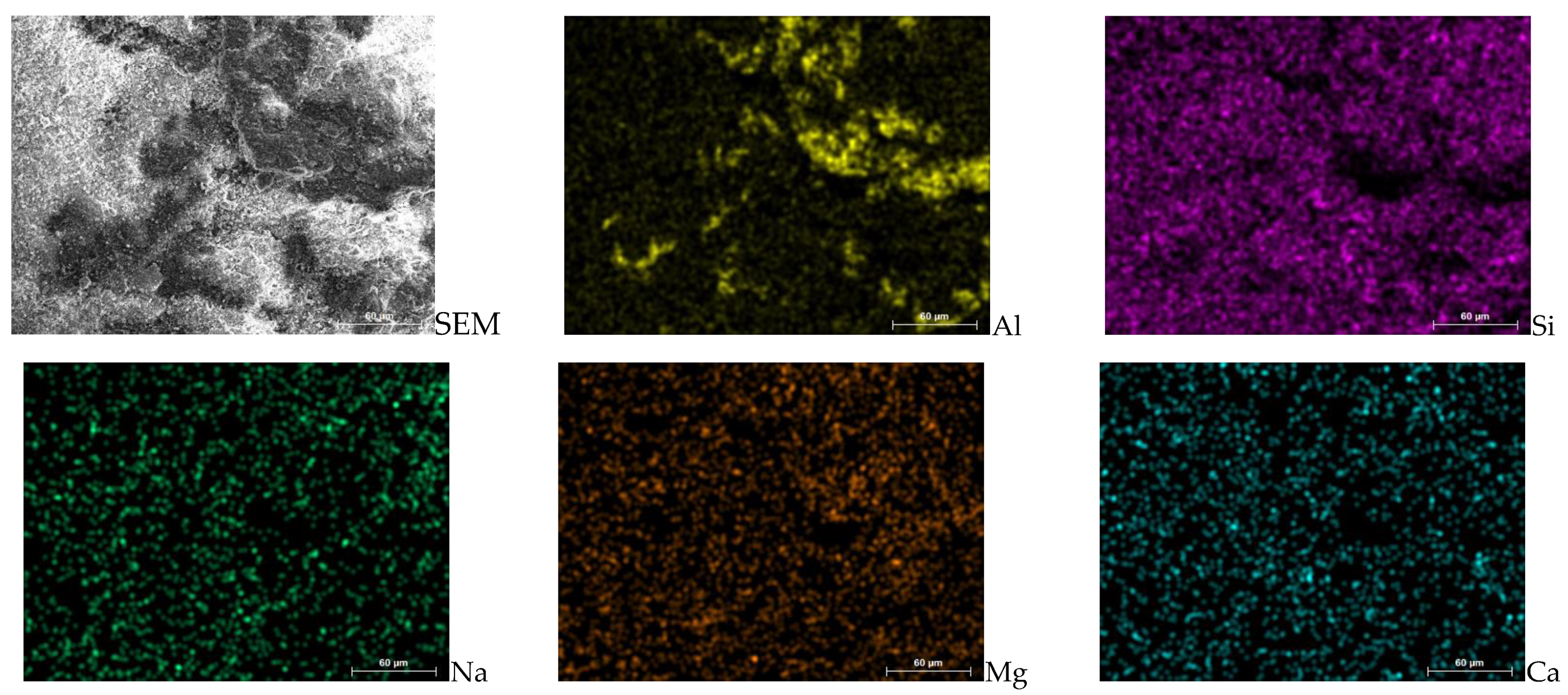 Coatings 15 00227 g016