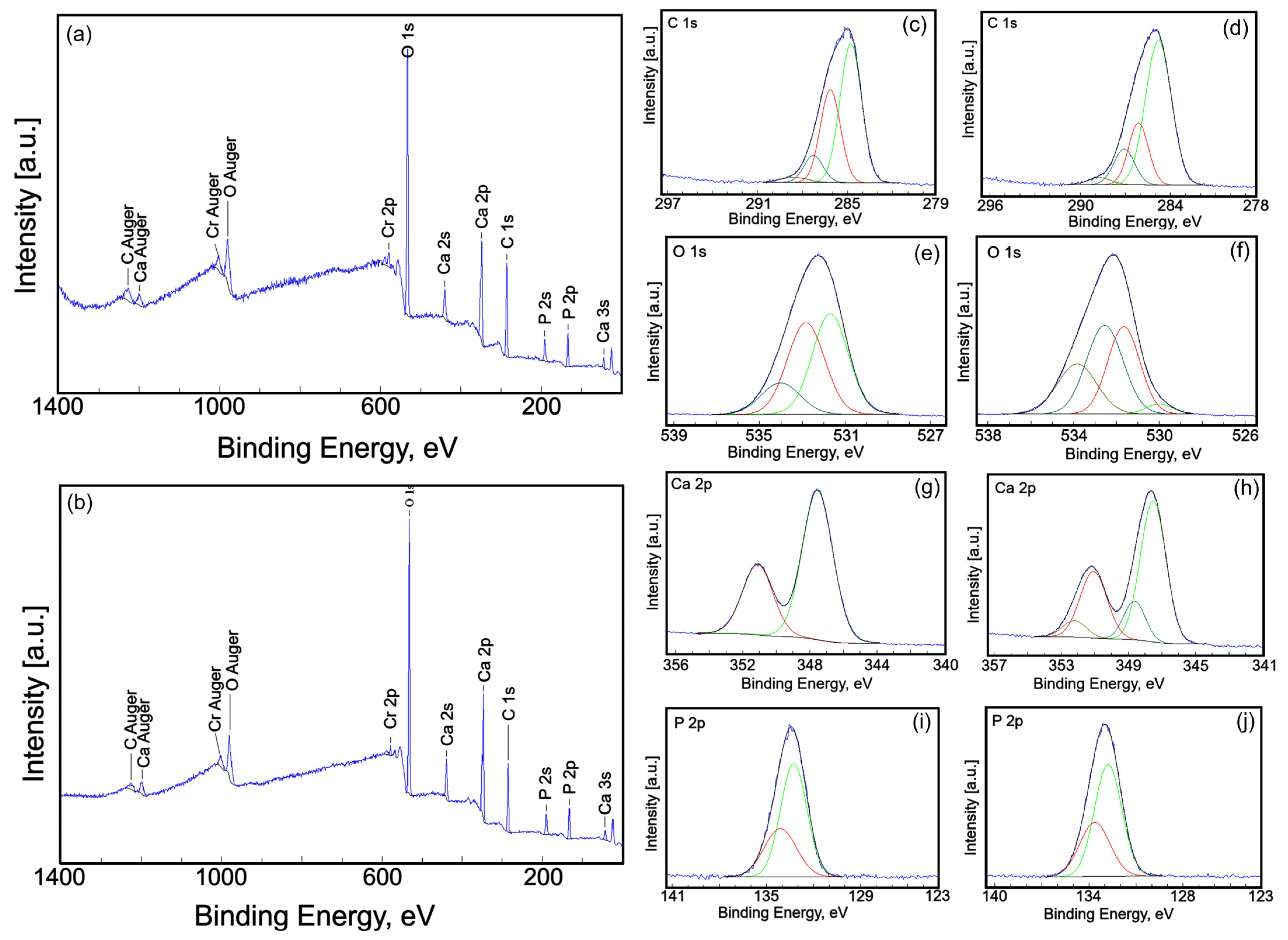 Coatings 15 00233 g007