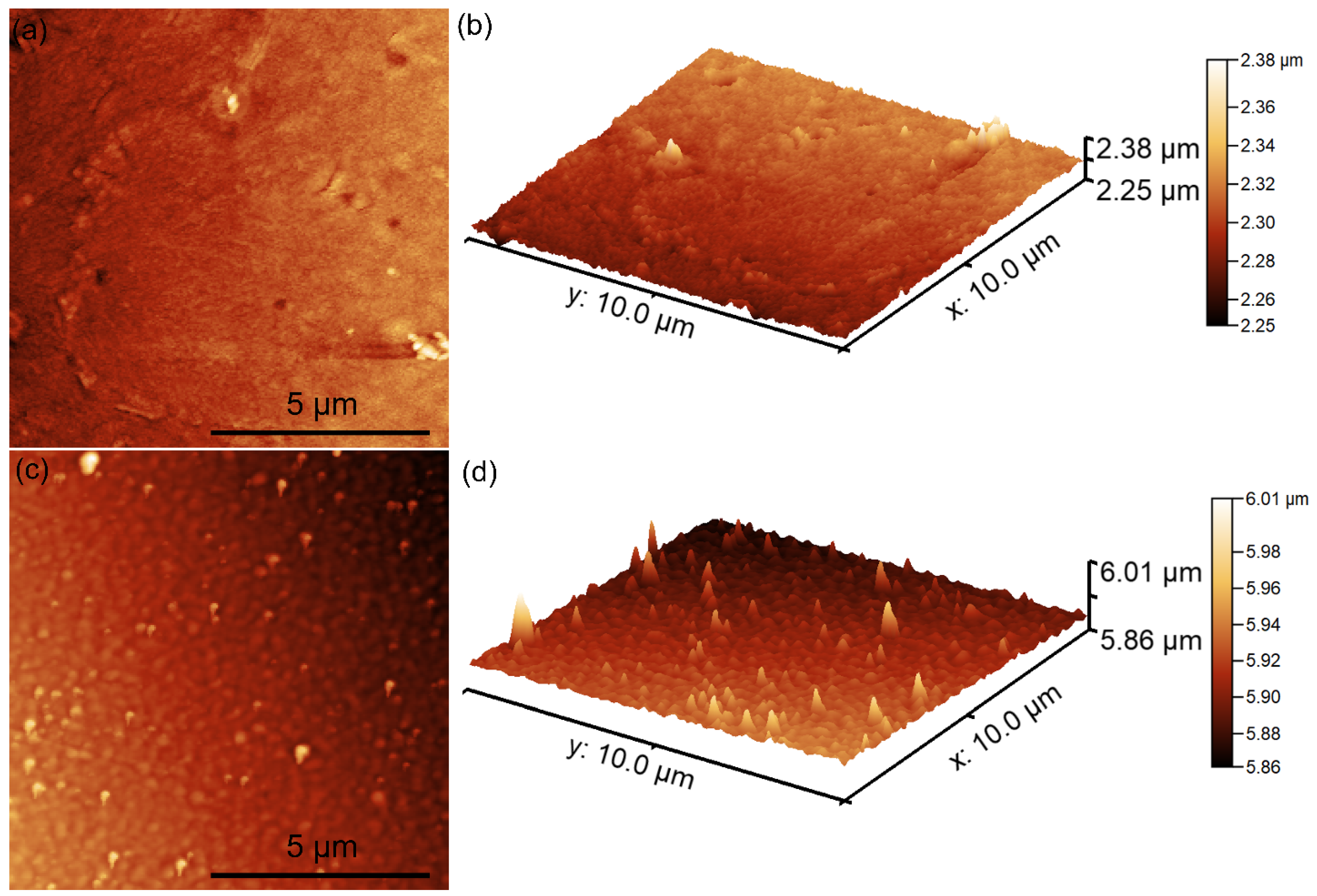 Coatings 15 00233 g014
