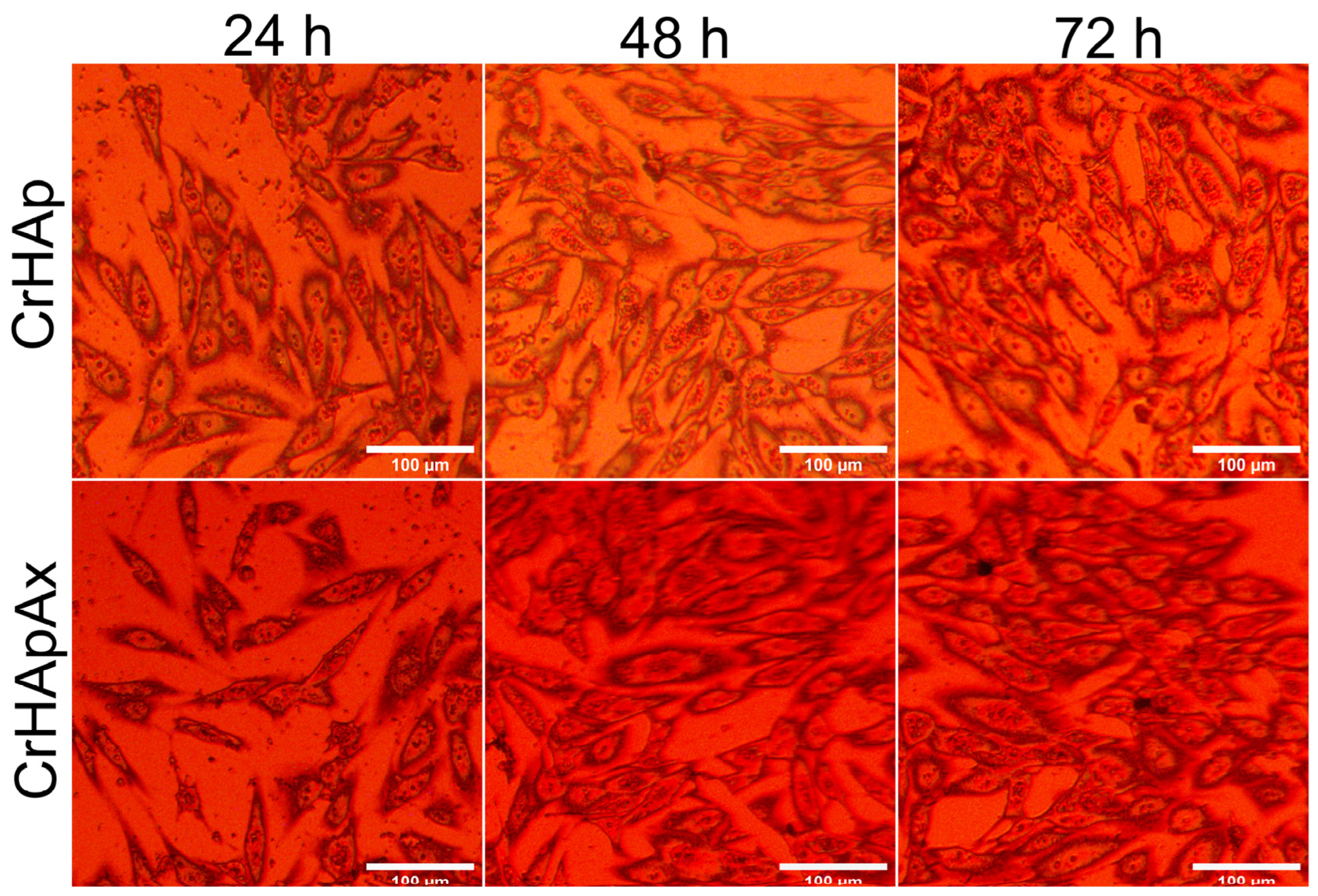 Coatings 15 00233 g016
