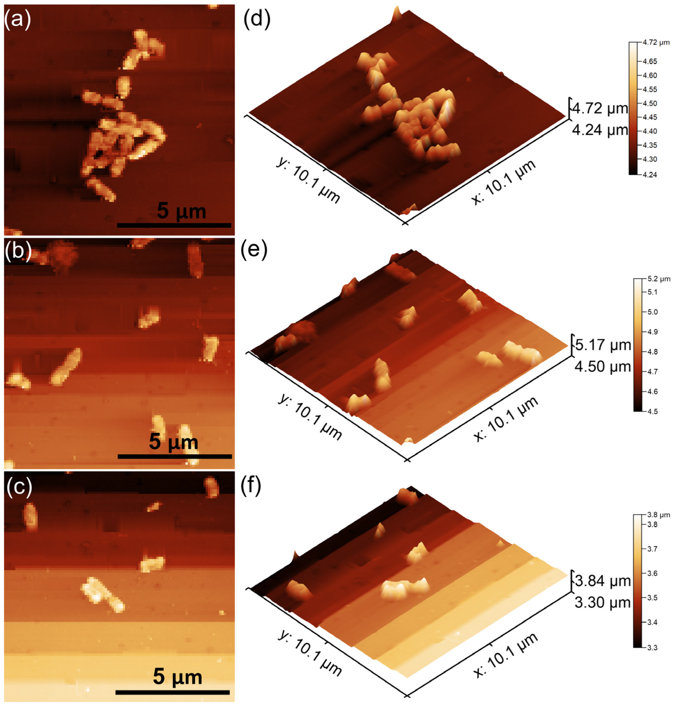Coatings 15 00233 g018