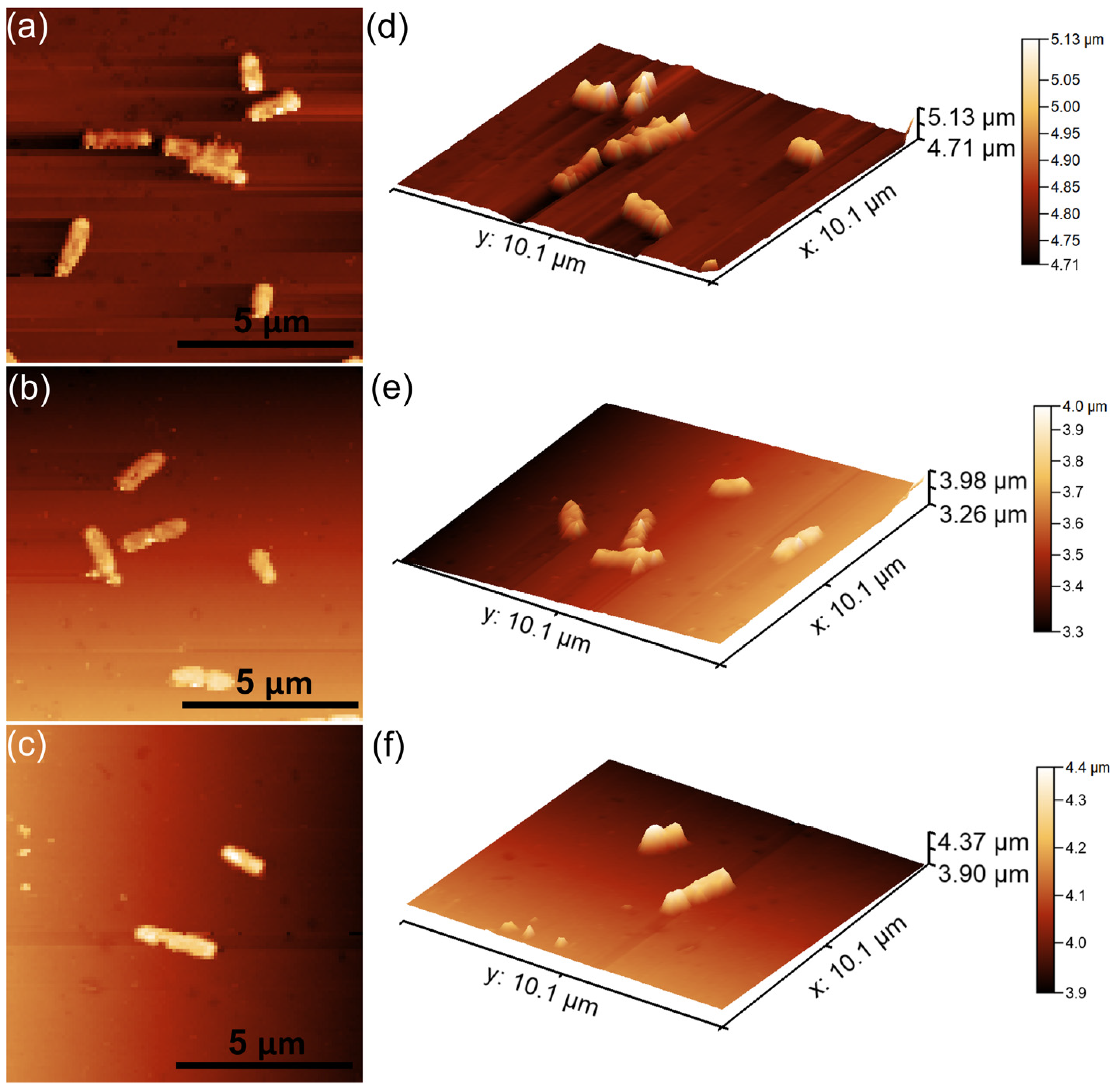 Coatings 15 00233 g019