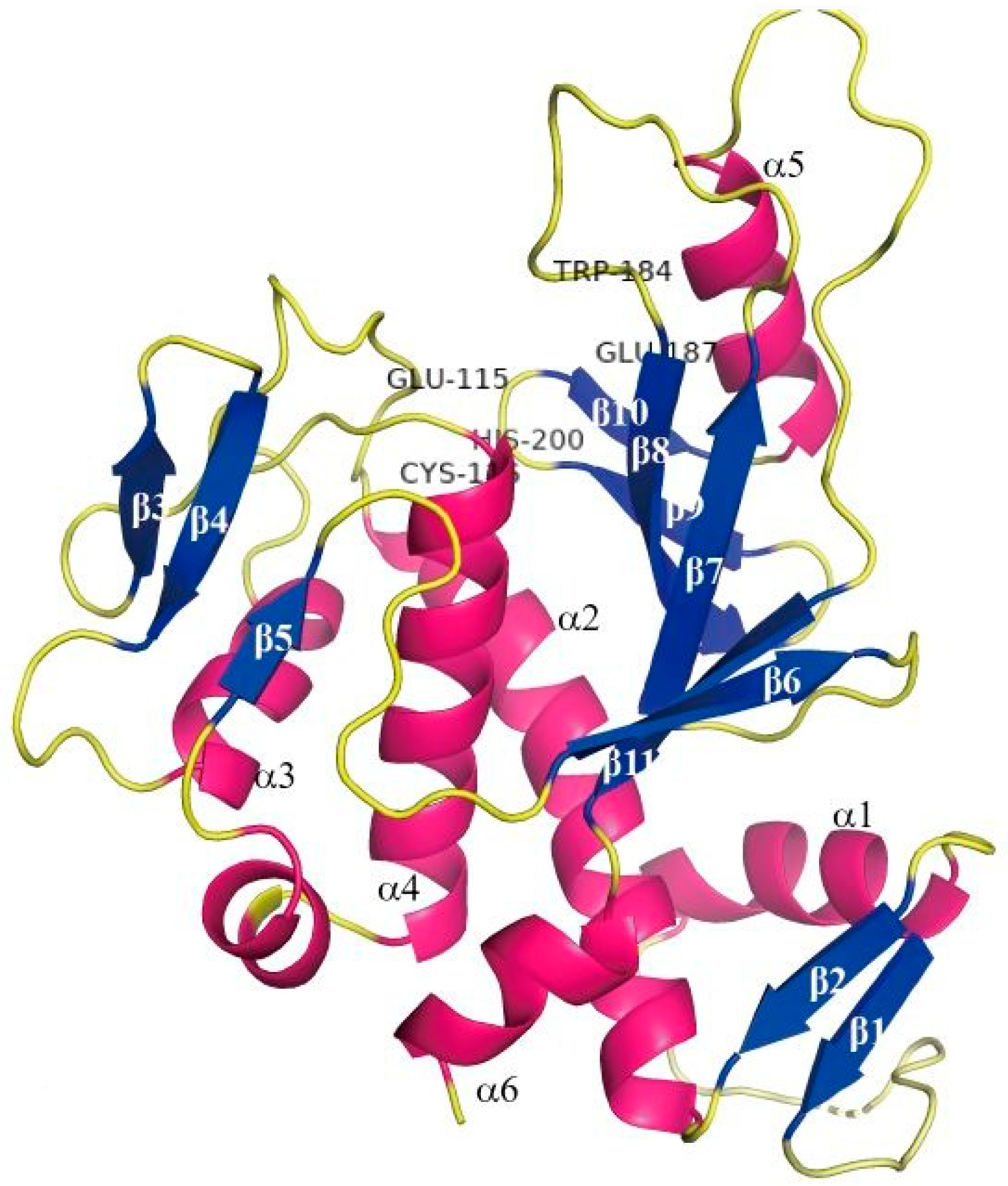 Coatings 15 00238 g001