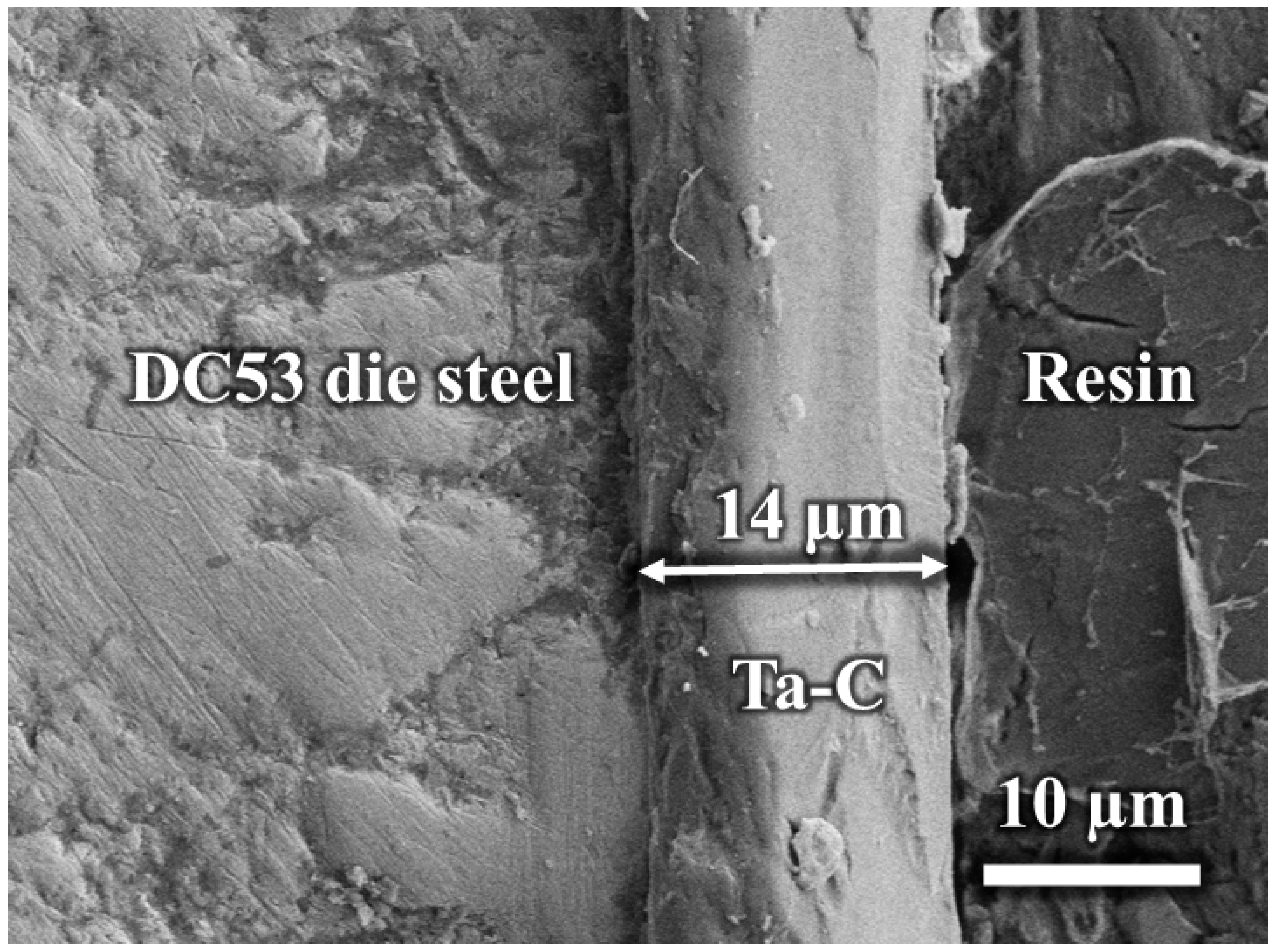 Coatings 15 00241 g006