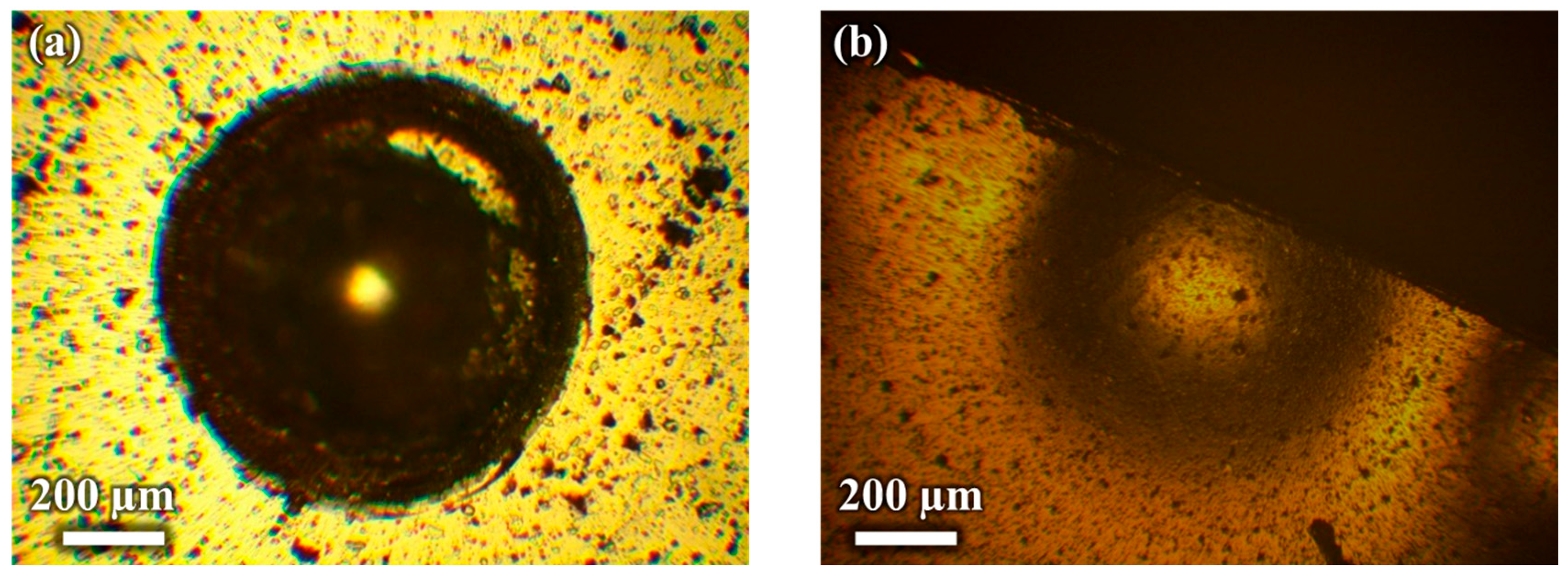 Coatings 15 00241 g008
