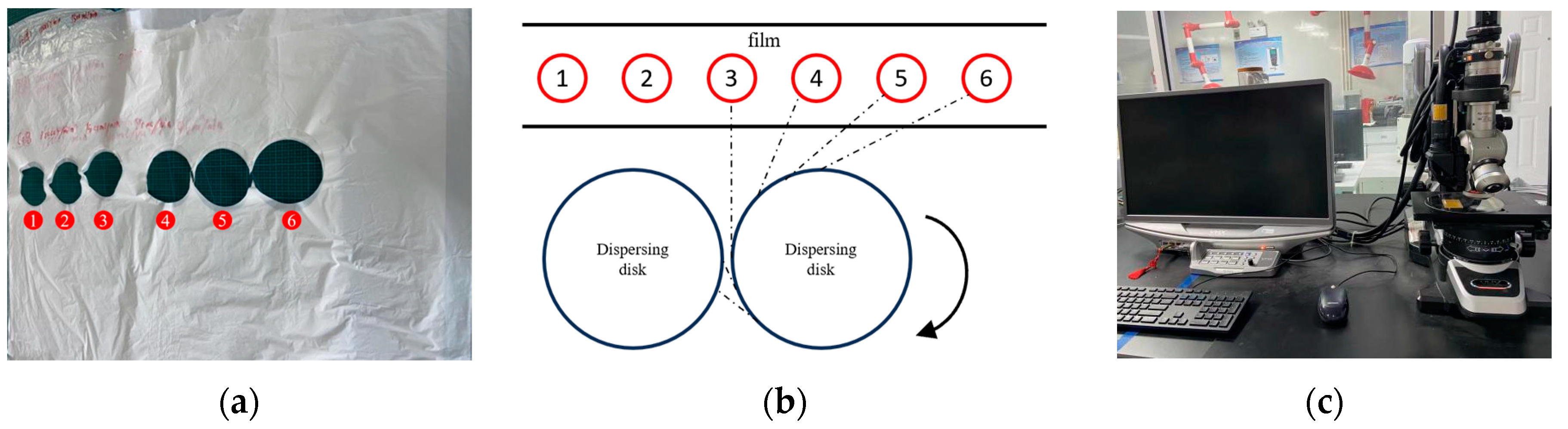 Coatings 15 00242 g010