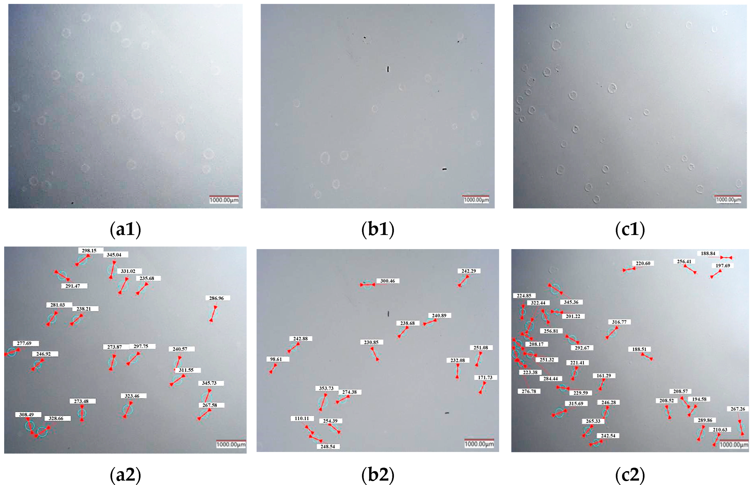 Coatings 15 00242 g011