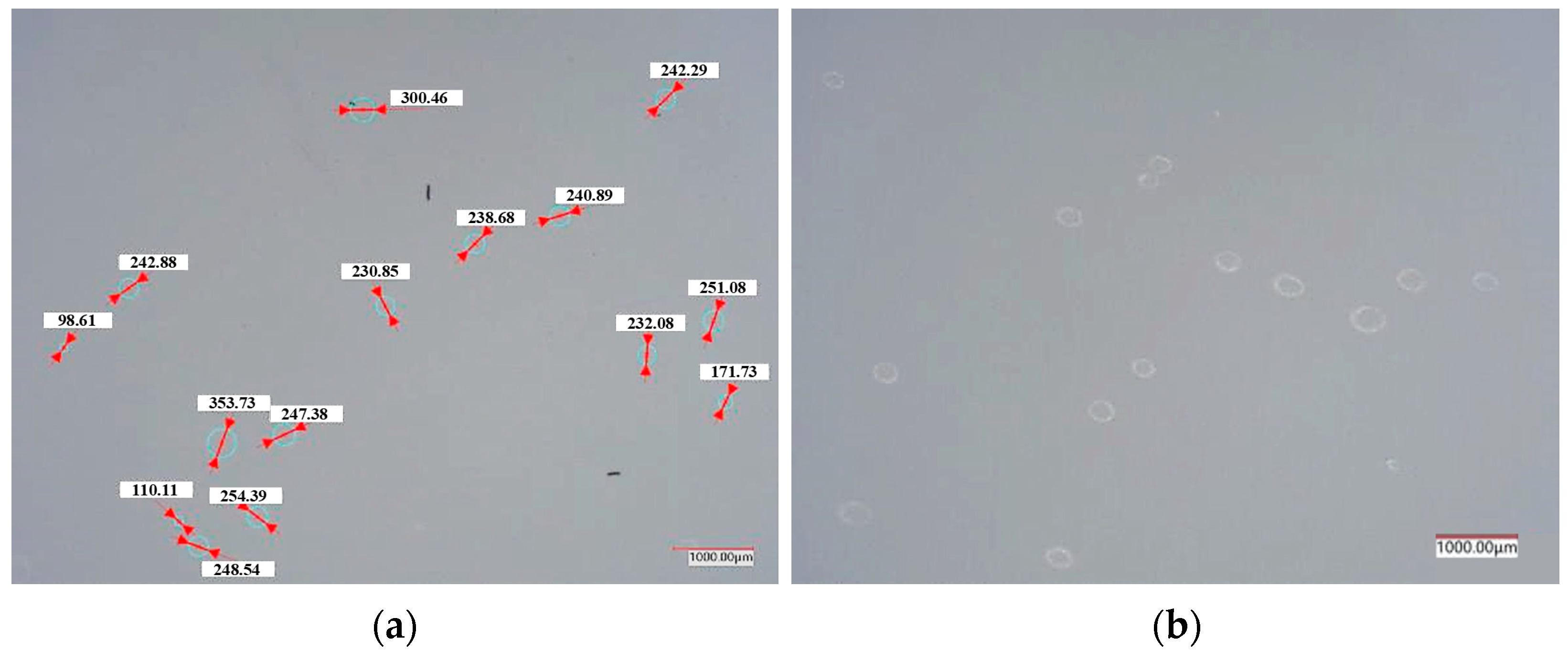 Coatings 15 00242 g013a