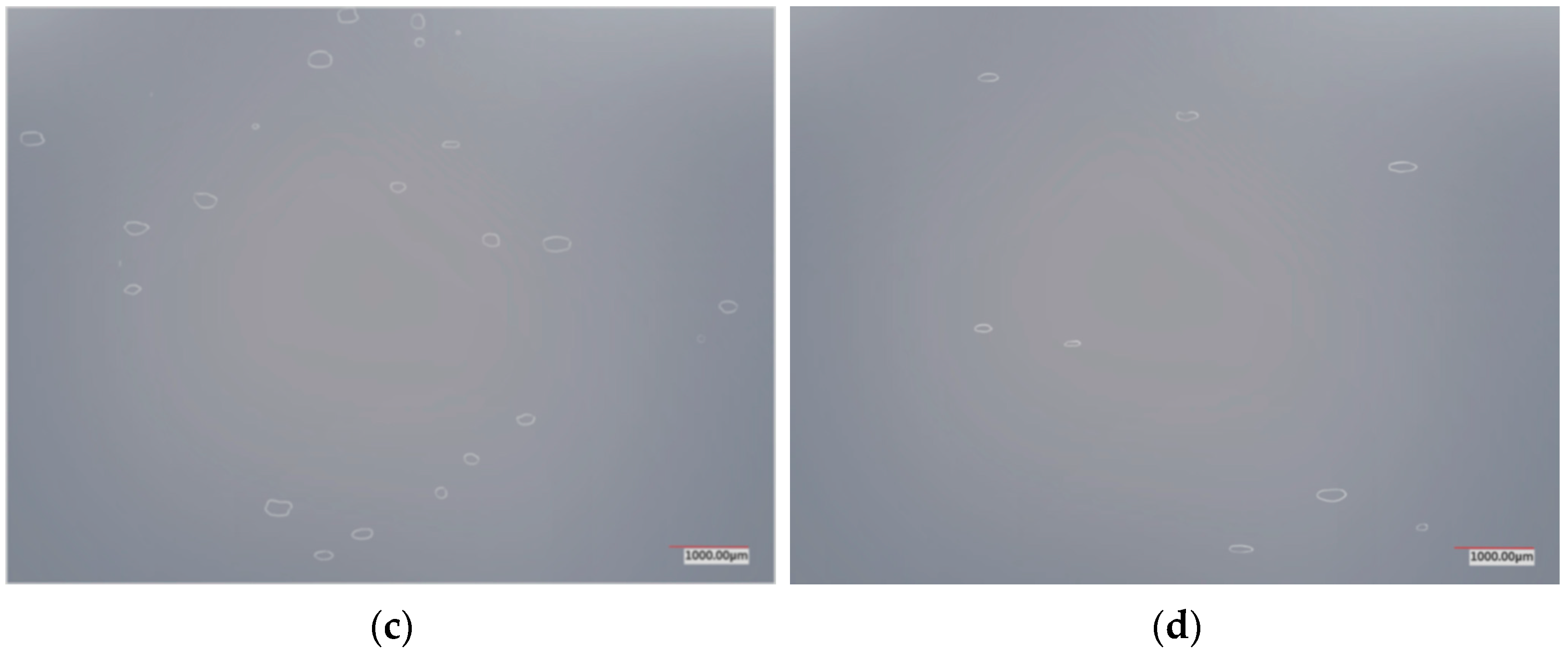 Coatings 15 00242 g013b