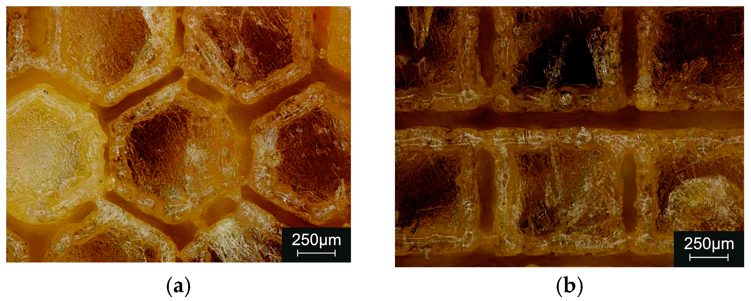 Coatings 15 00246 g008 Coatings 15 00246 g008