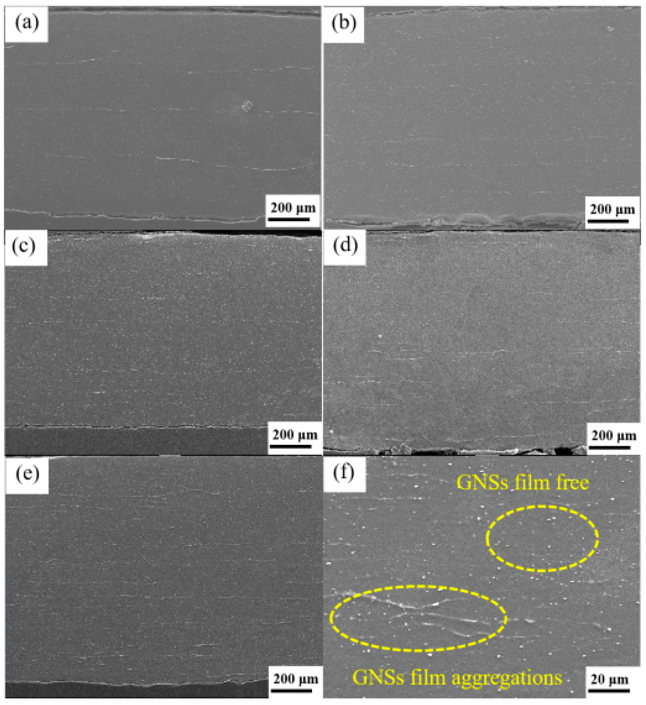 Coatings 15 00250 g001