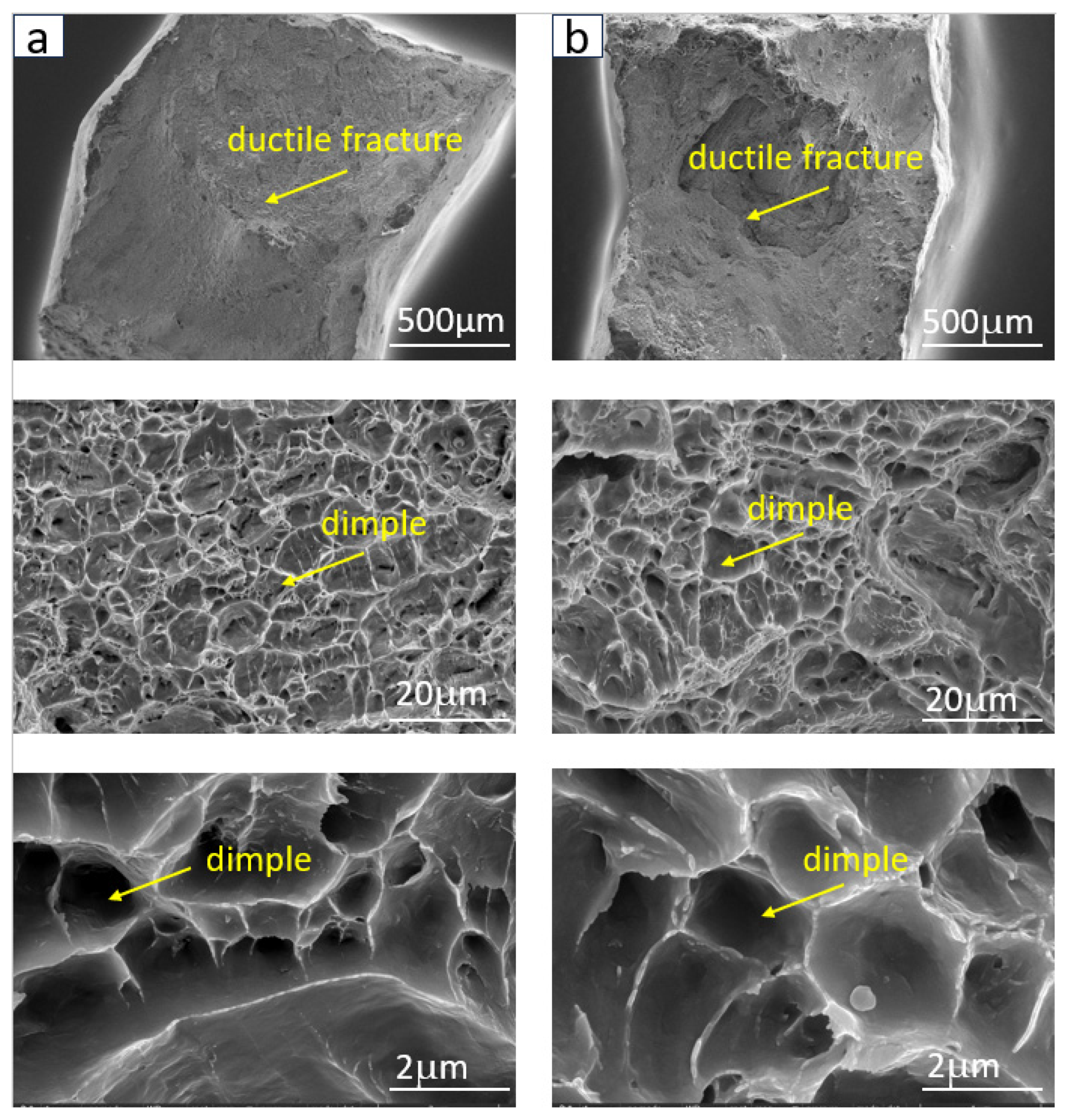Coatings 15 00252 g018