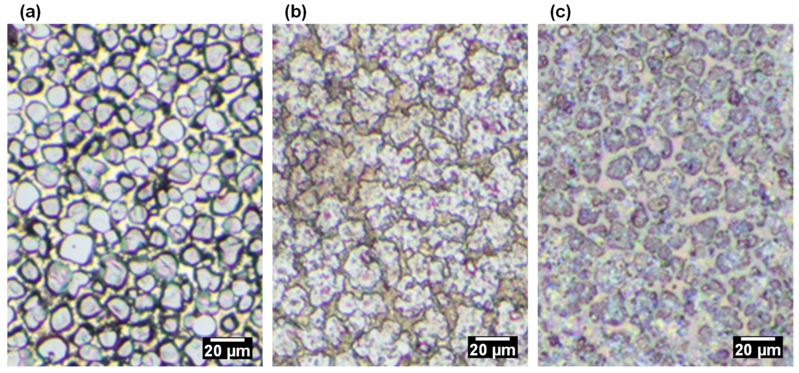 Coatings 15 00253 g006