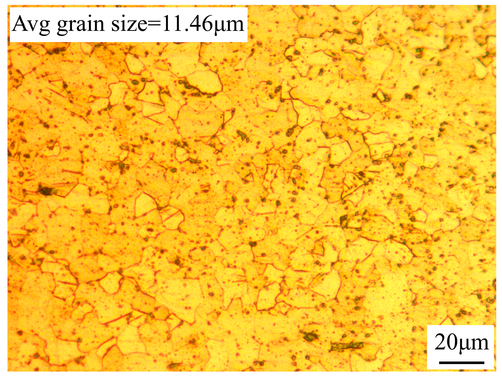 Coatings 15 00256 g002