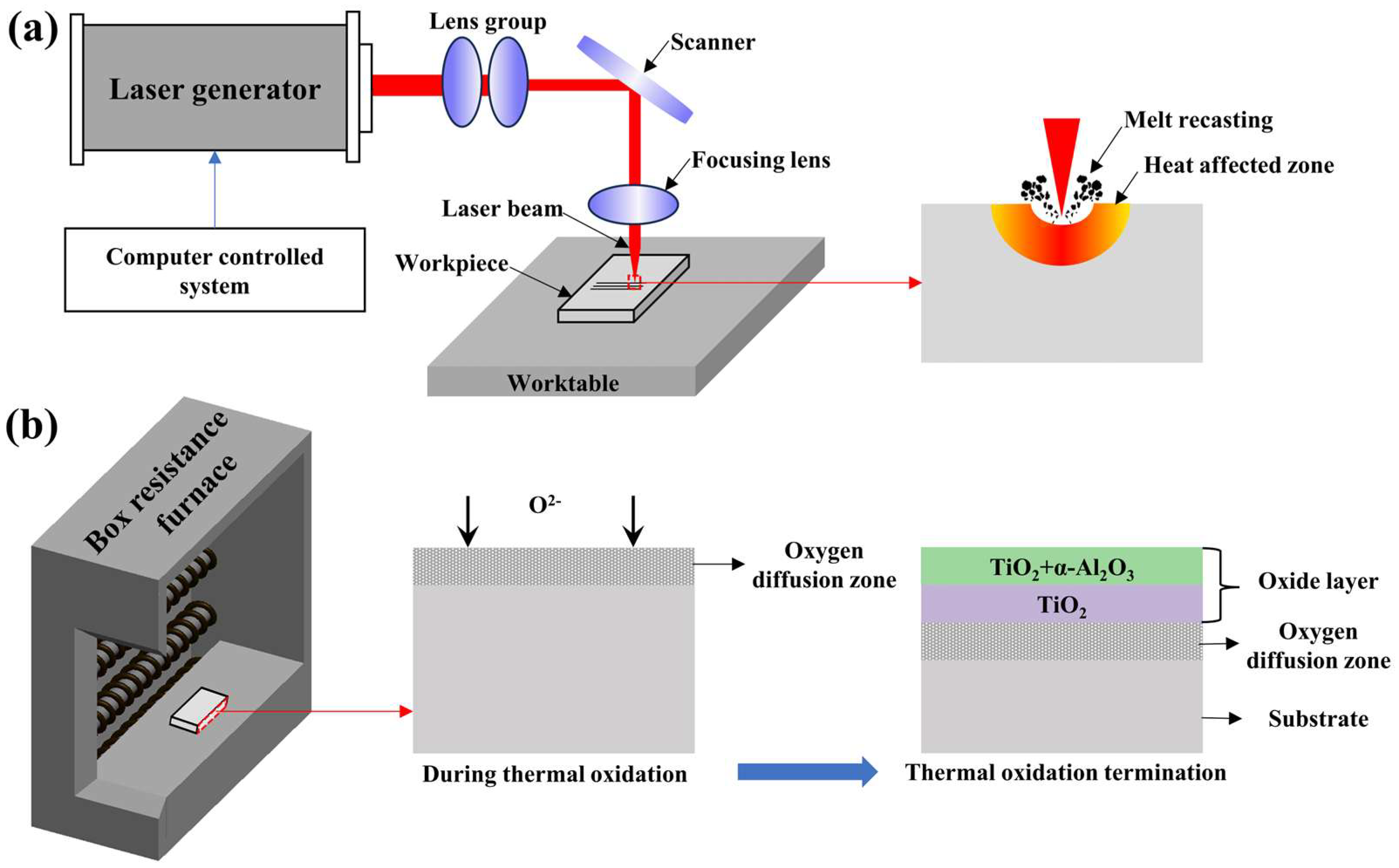Coatings 15 00258 g001