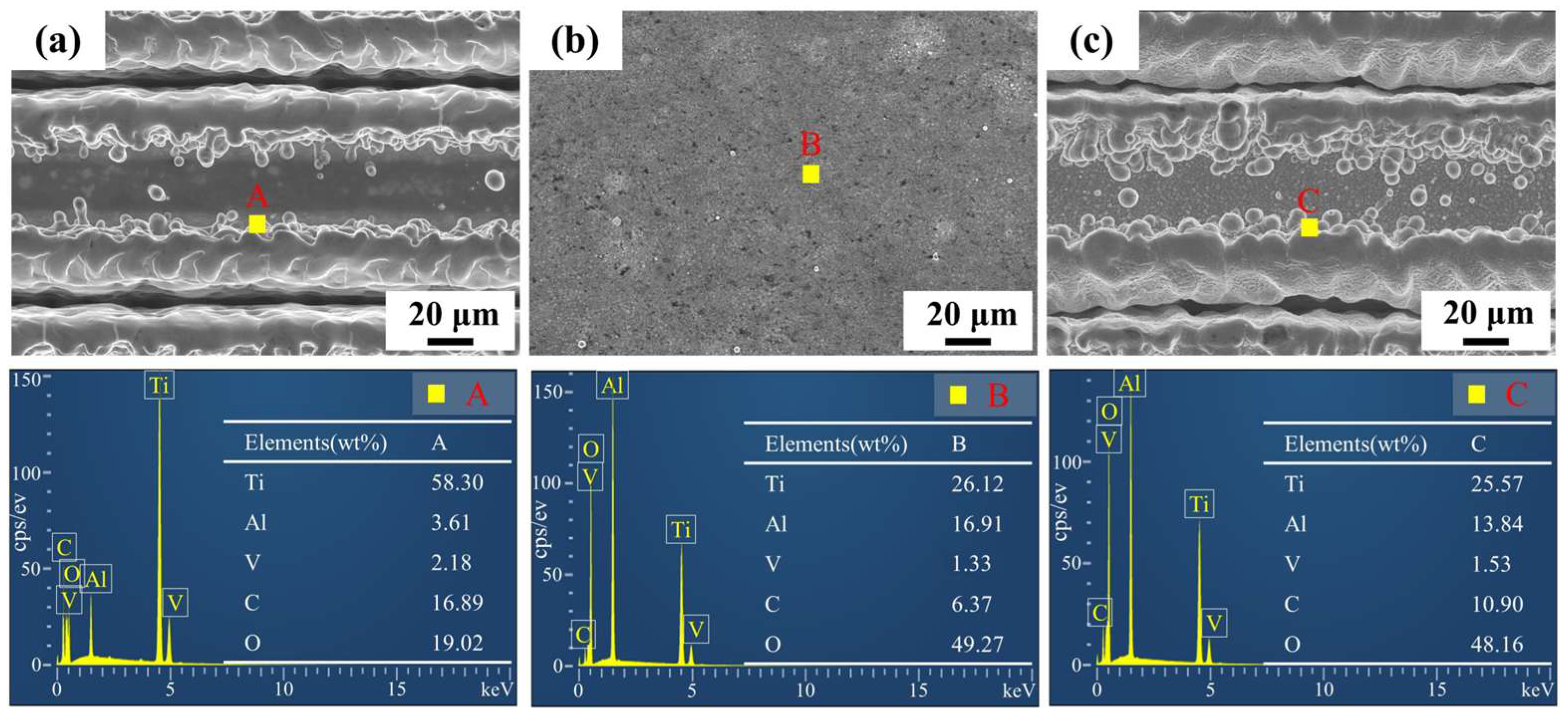 Coatings 15 00258 g003