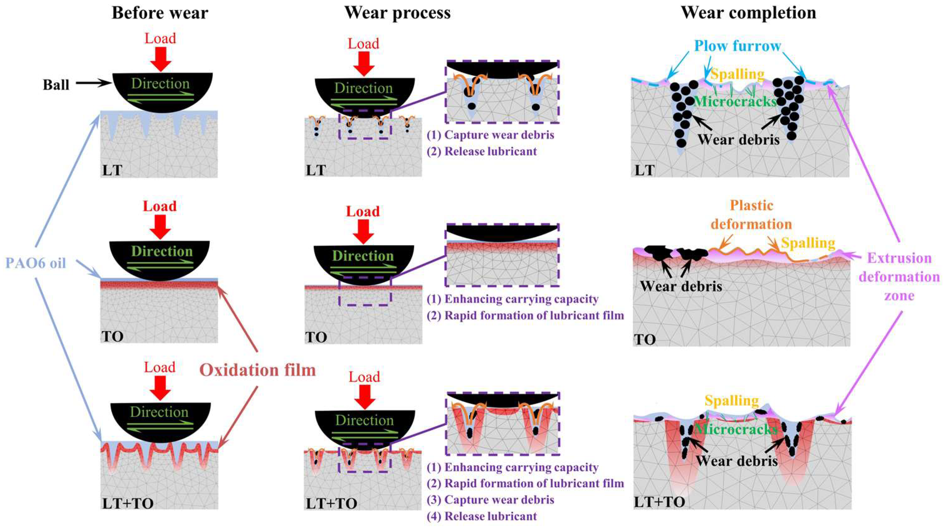 Coatings 15 00258 g010
