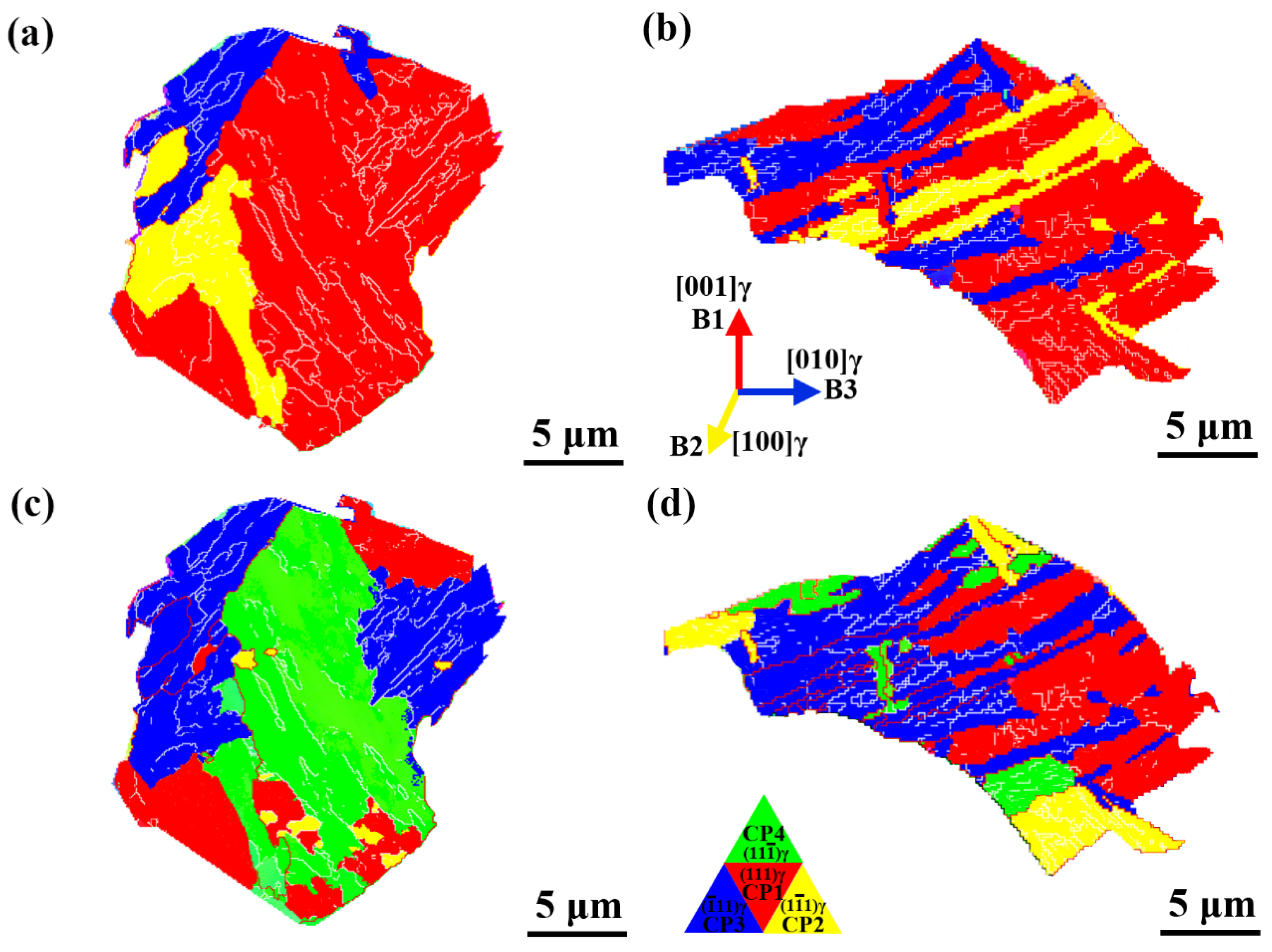 Coatings 15 00260 g005