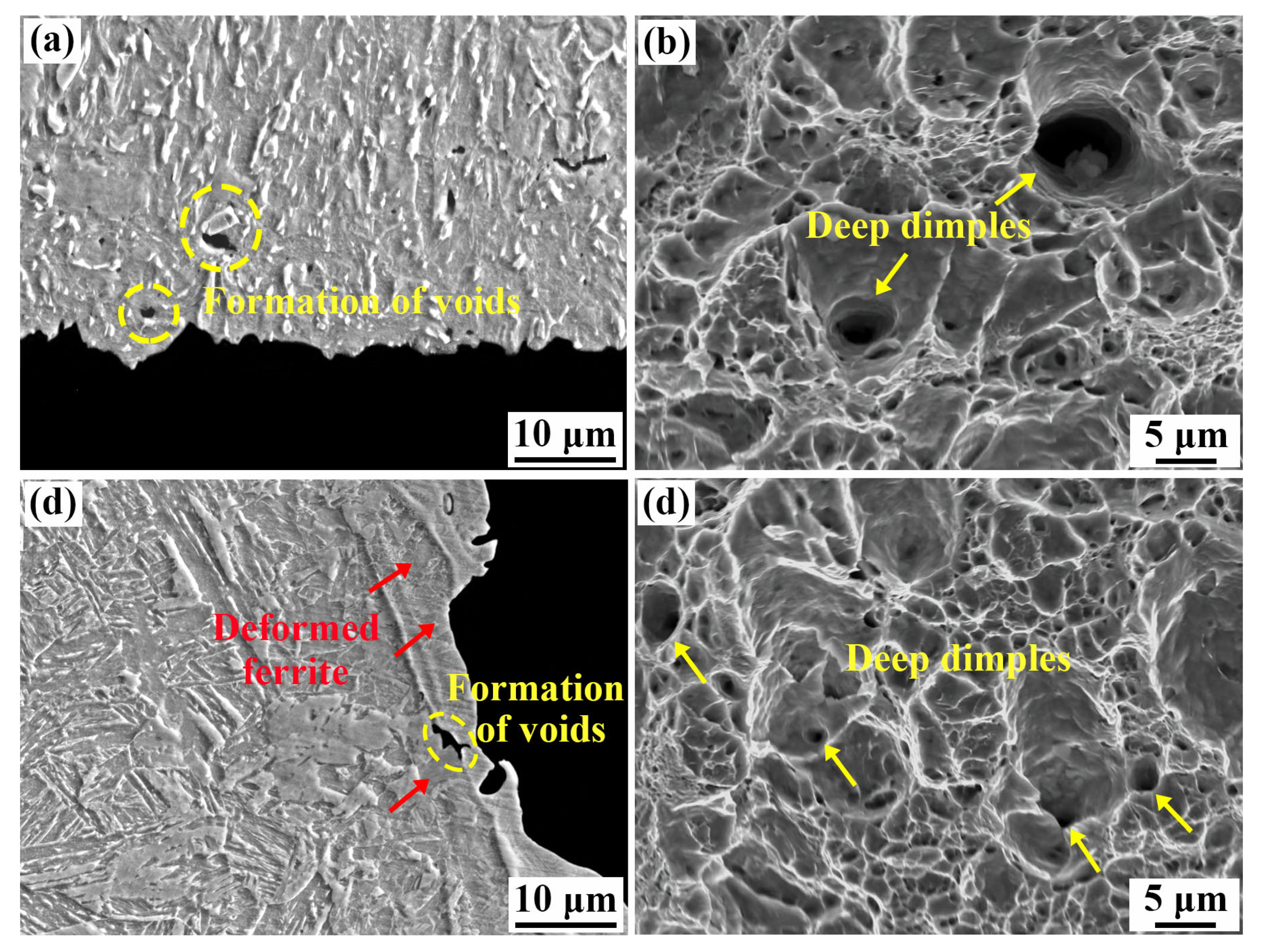 Coatings 15 00260 g012