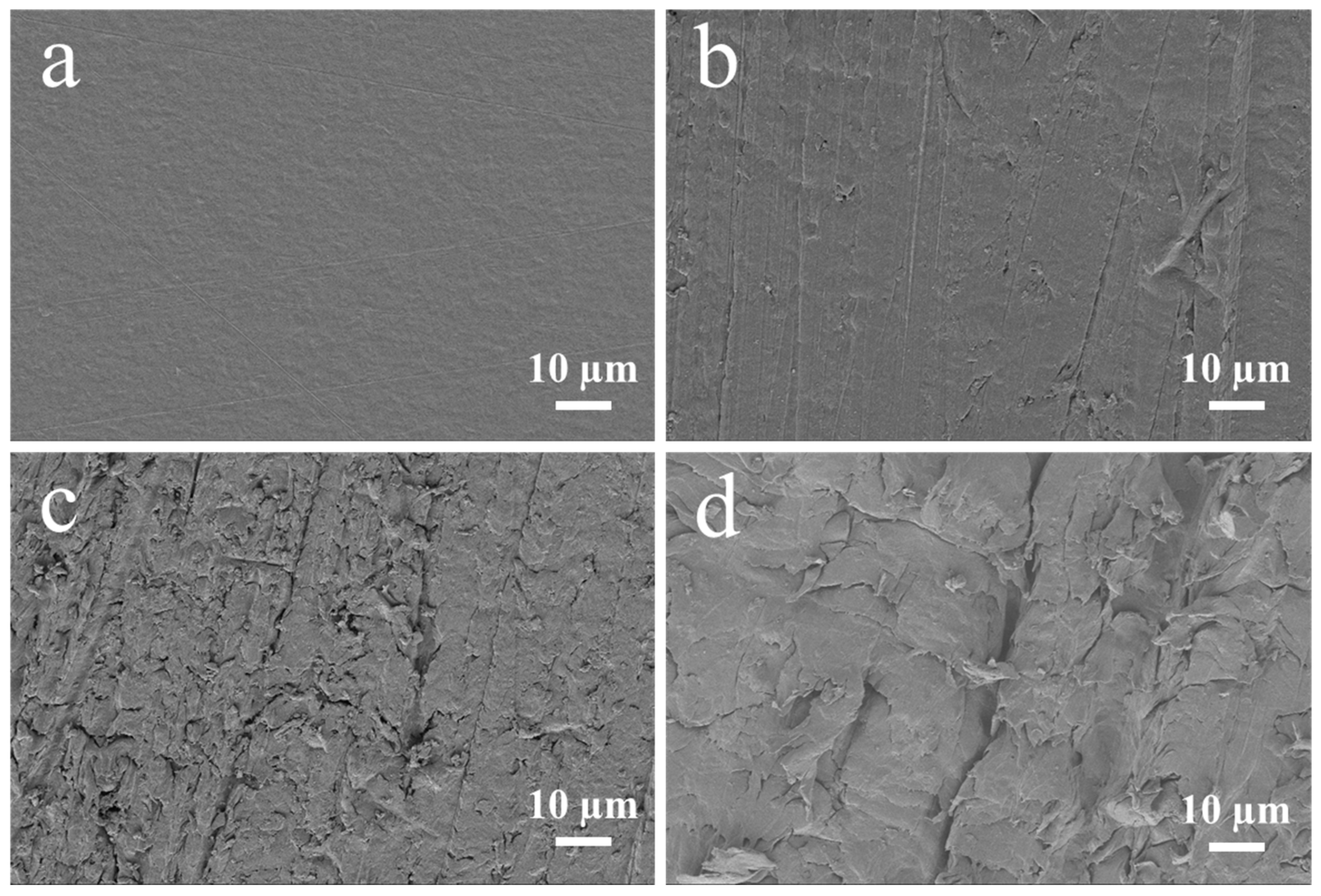 Coatings 15 00261 g002