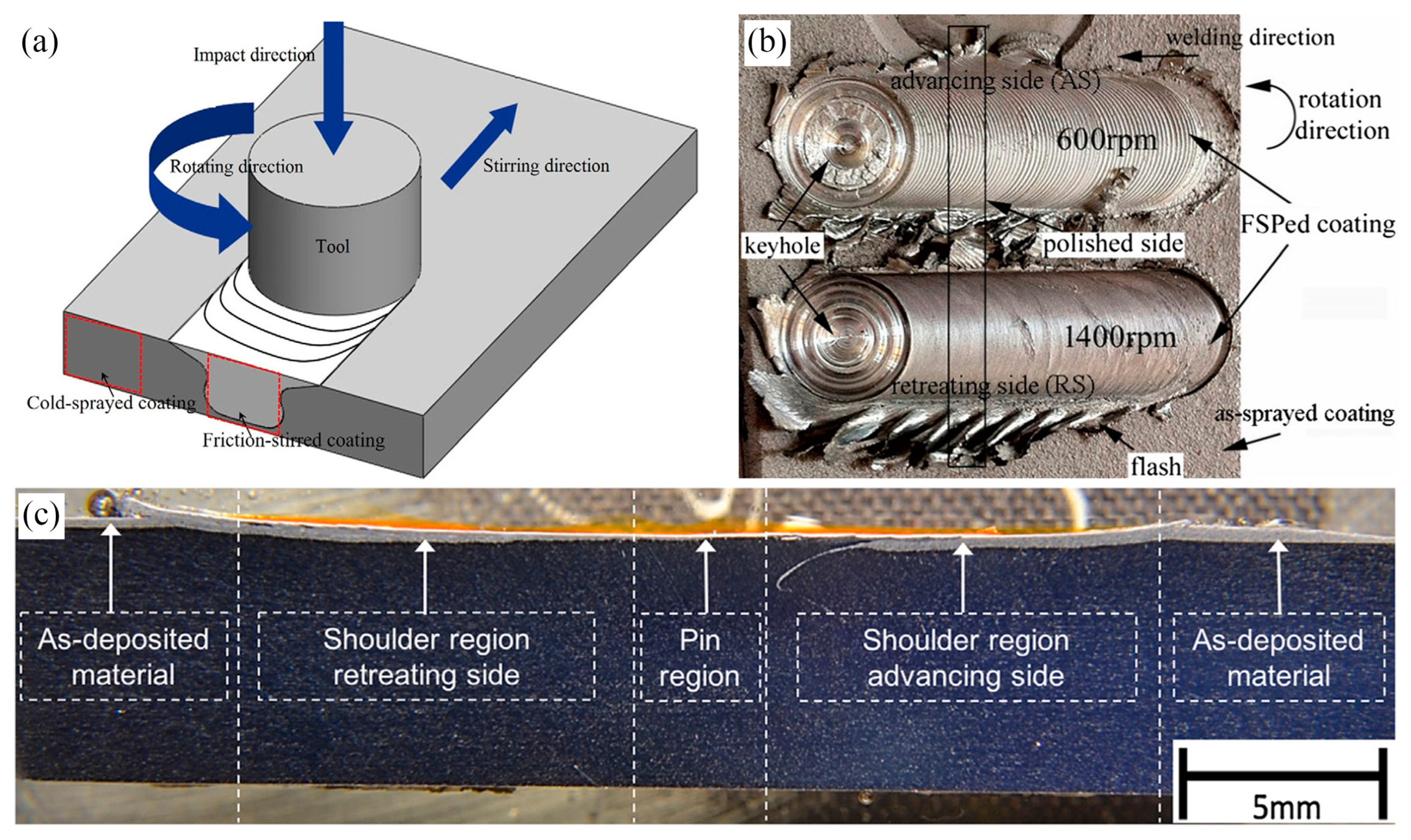Coatings 15 00265 g007