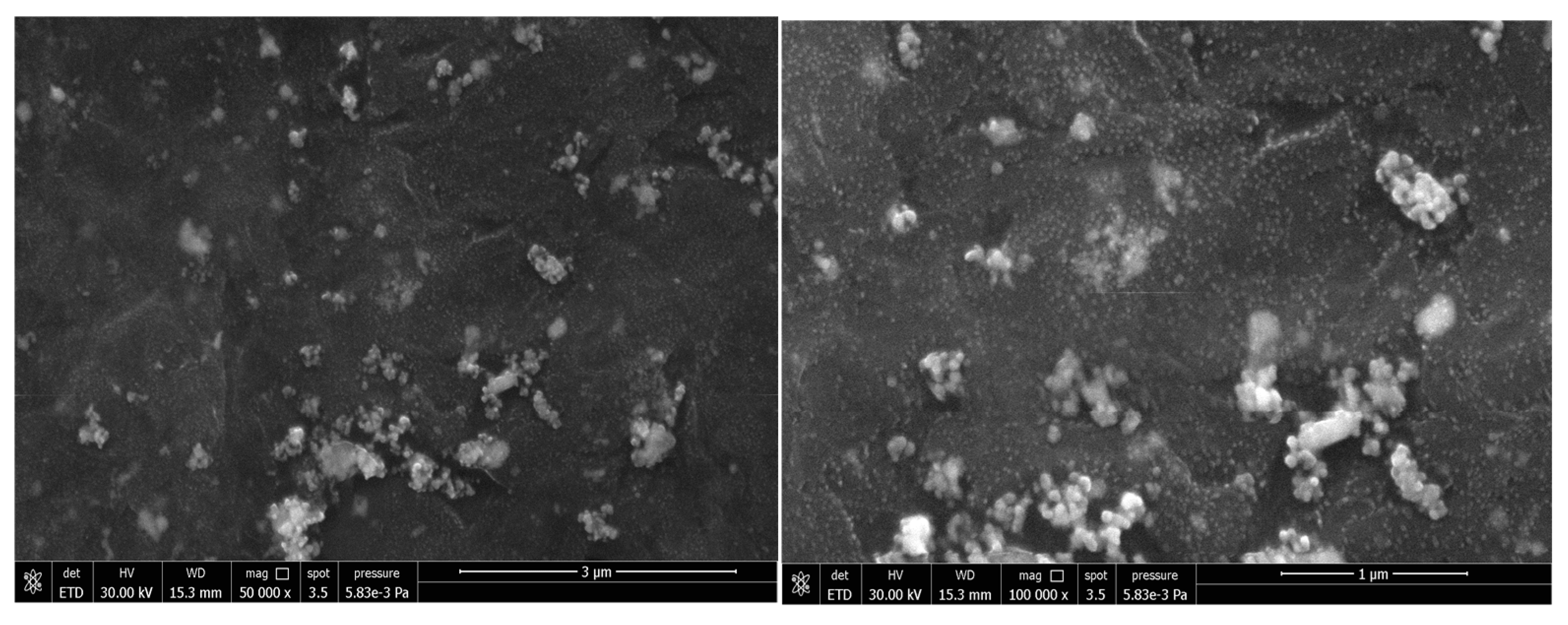 Coatings 15 00267 g003