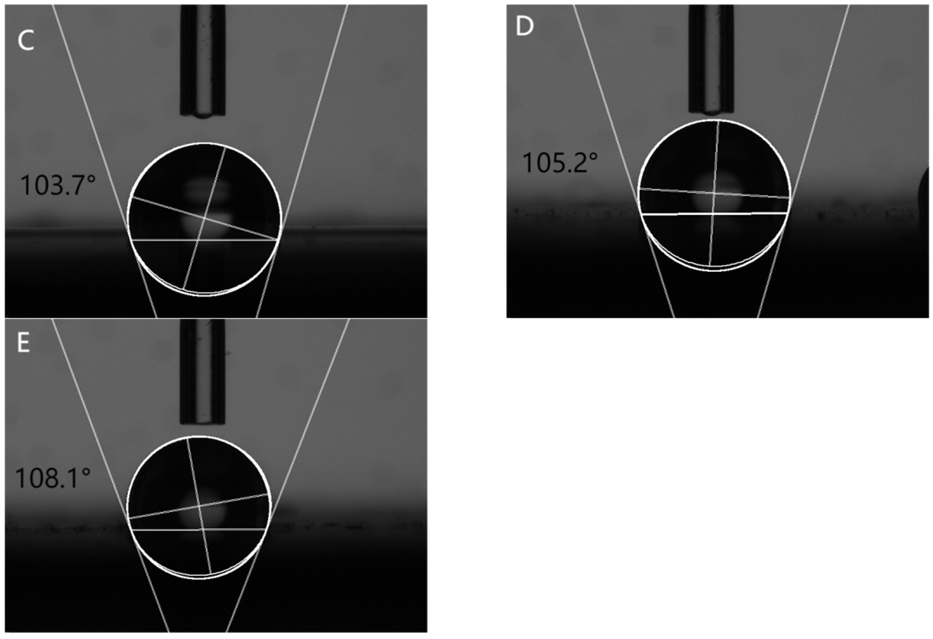 Coatings 15 00271 g003b