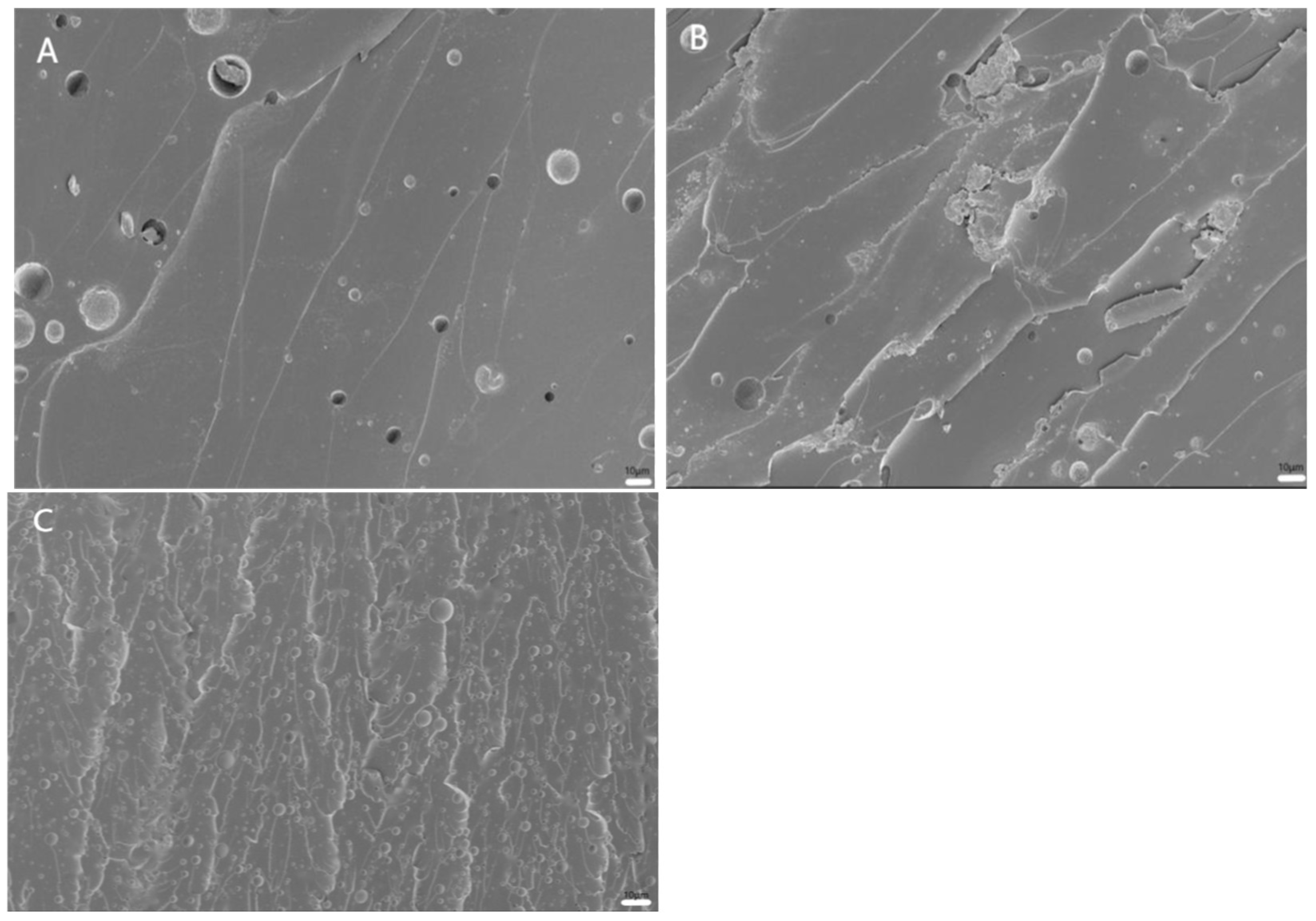 Coatings 15 00271 g010