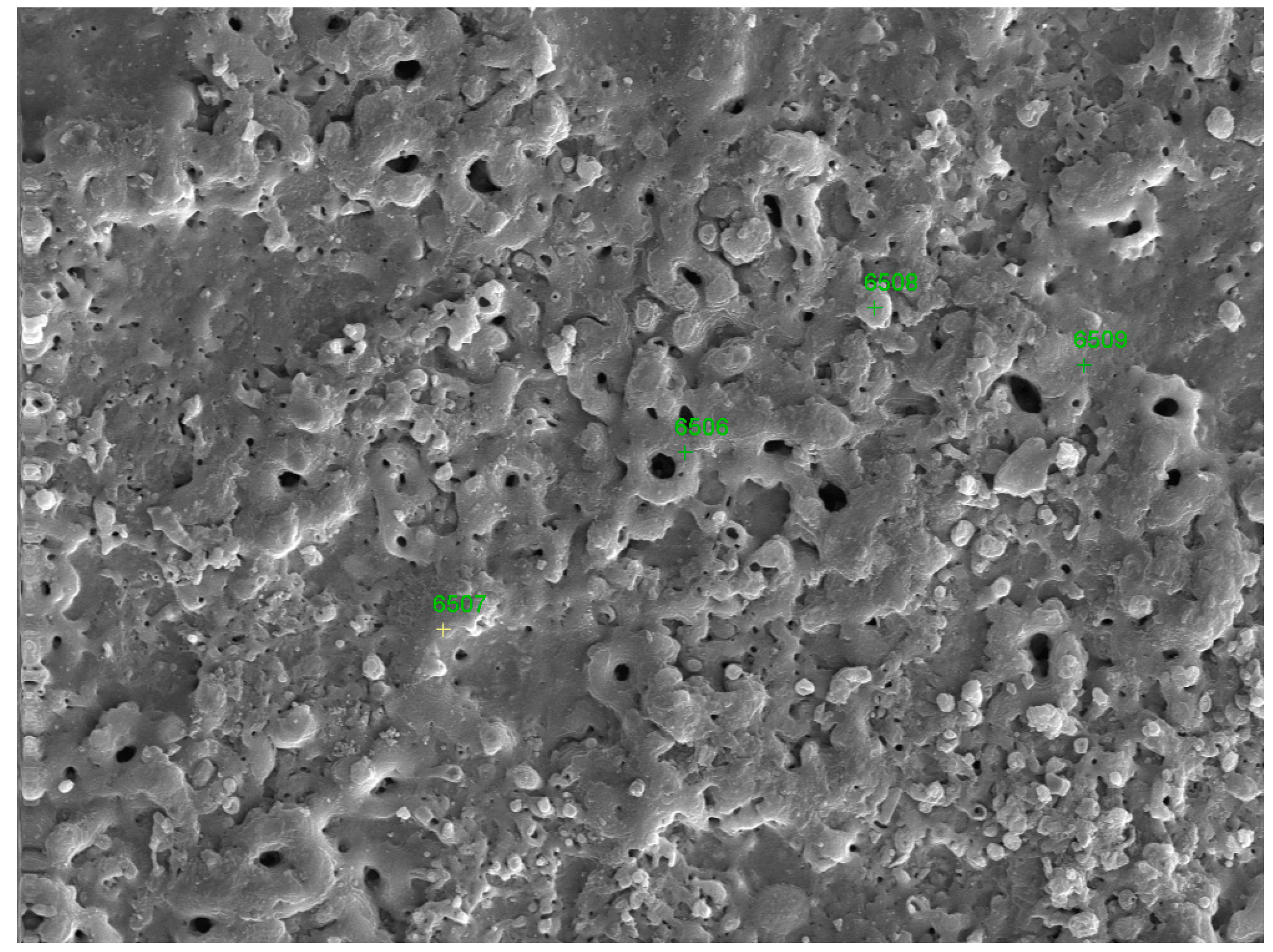 Coatings 15 00272 g002