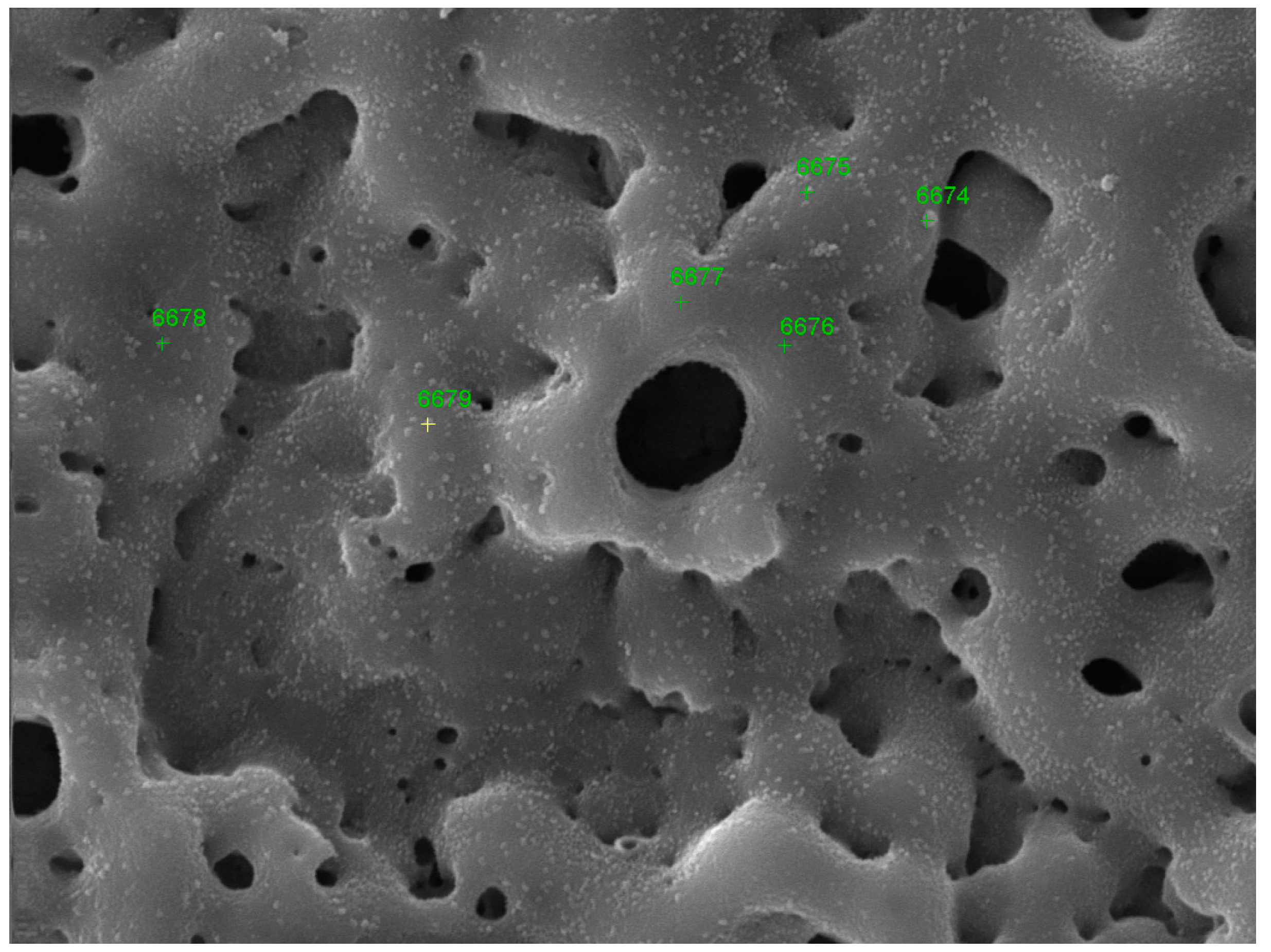 Coatings 15 00272 g003