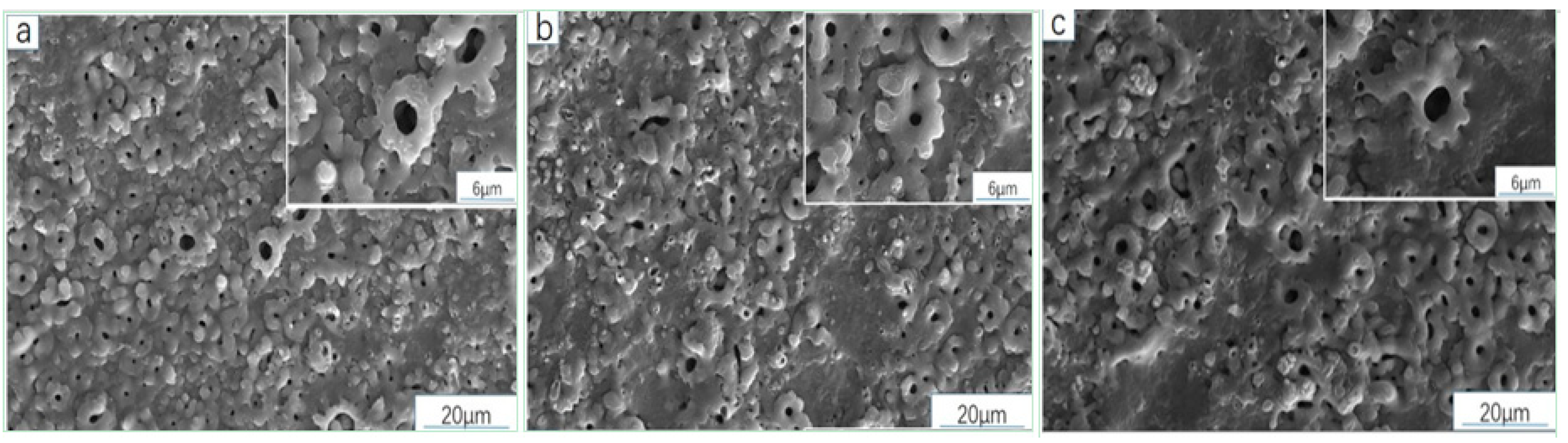 Coatings 15 00272 g004