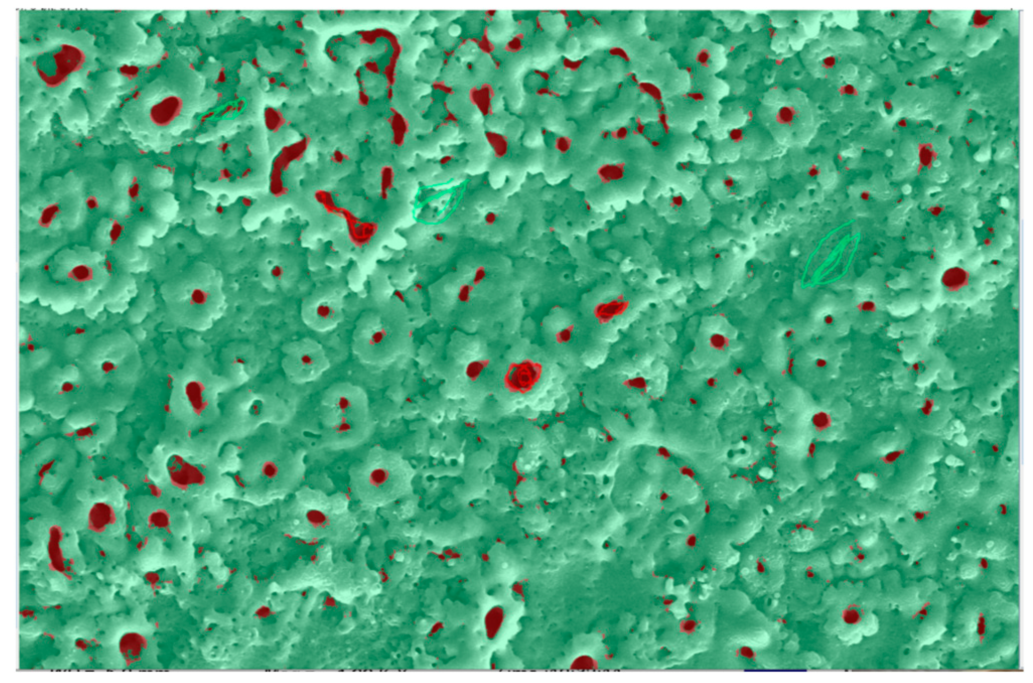 Coatings 15 00272 g007