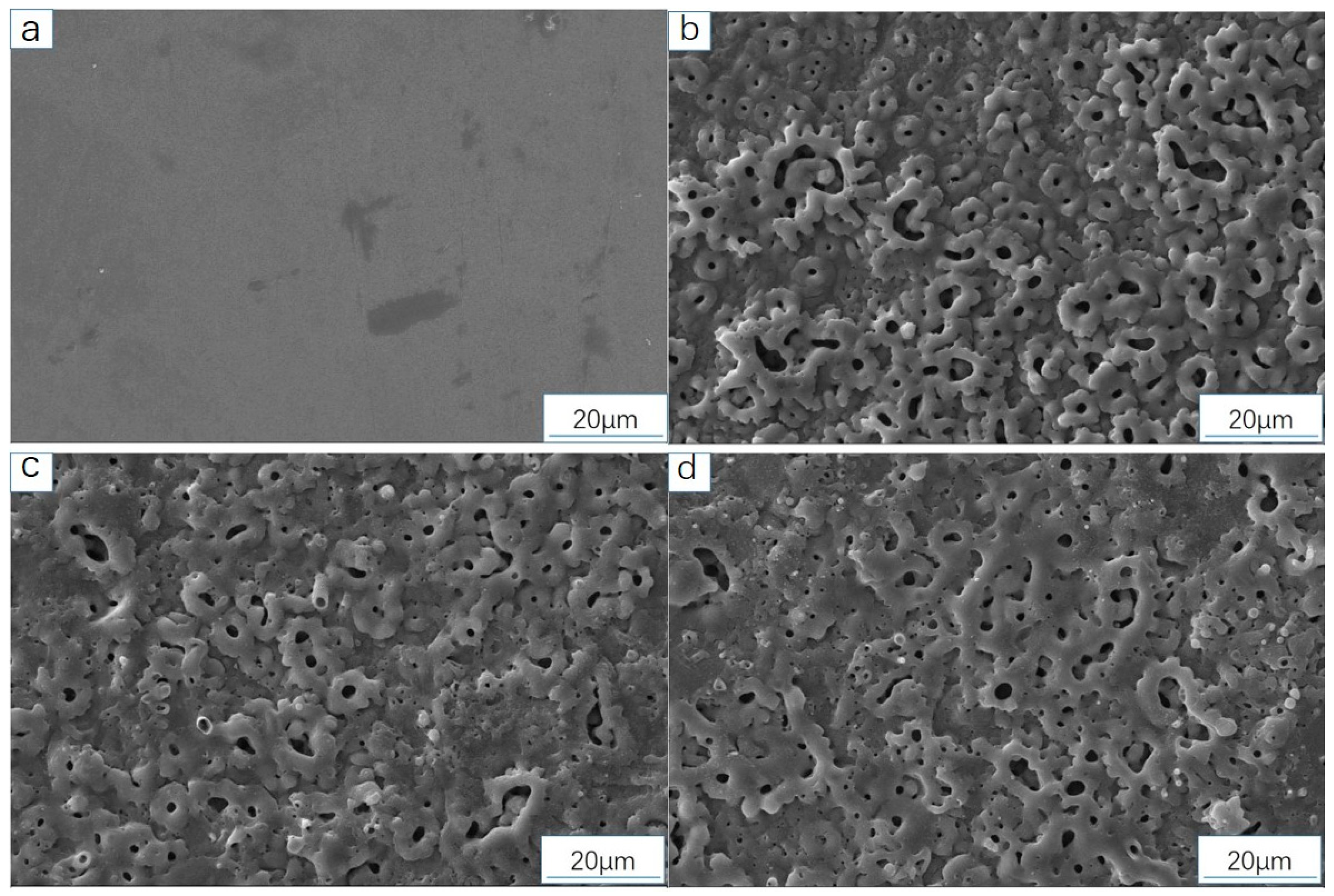 Coatings 15 00272 g008