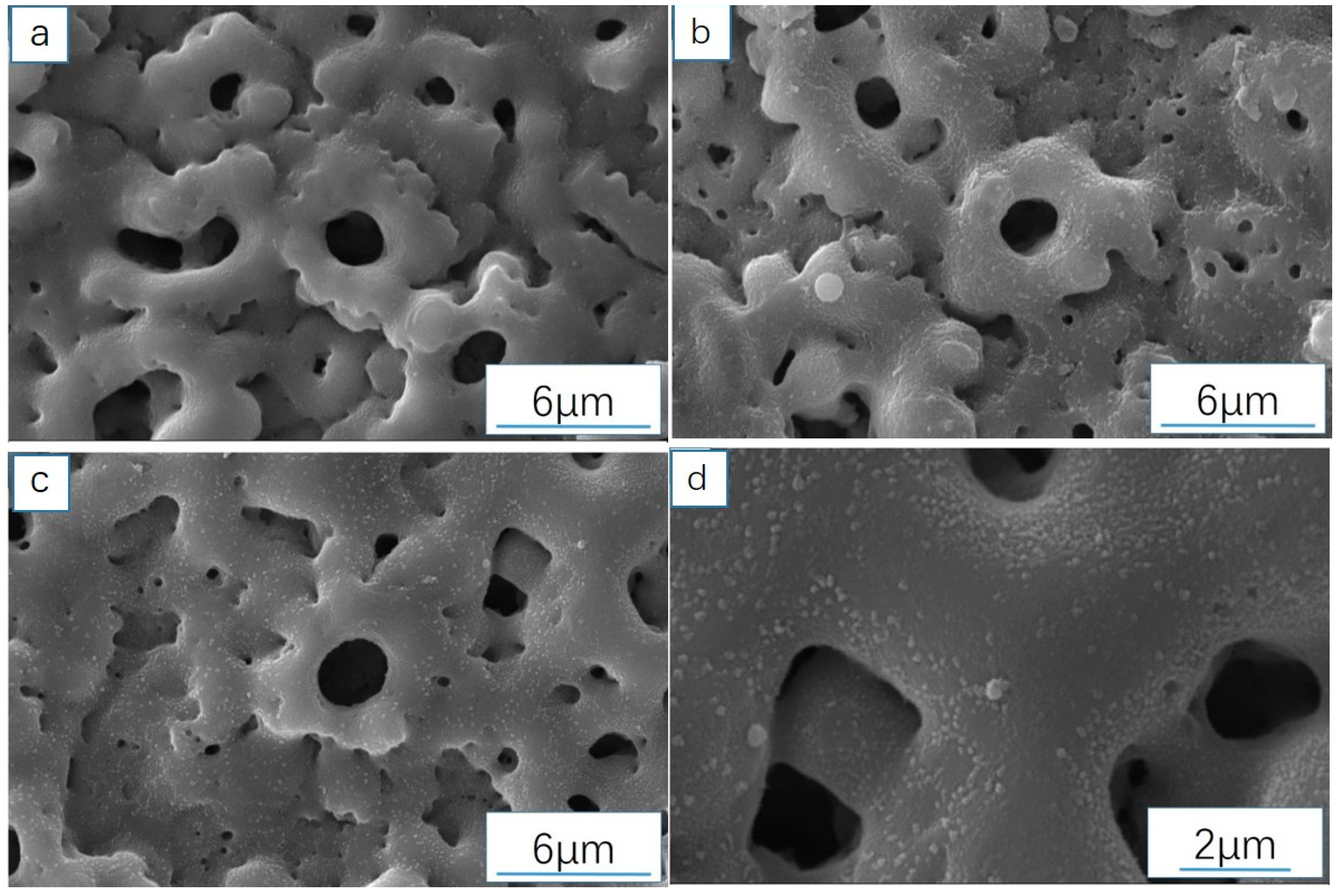 Coatings 15 00272 g009