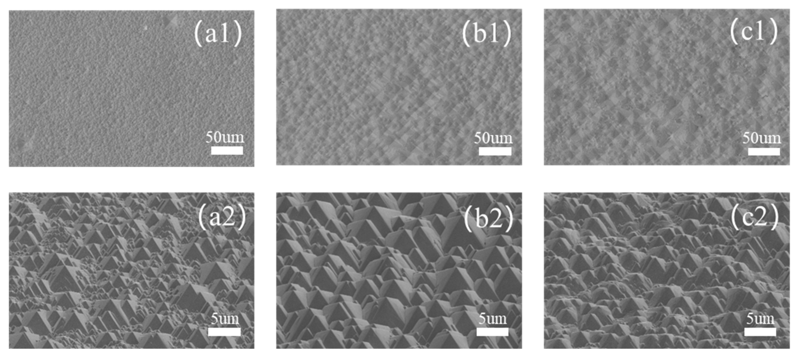 Coatings 15 00273 g002